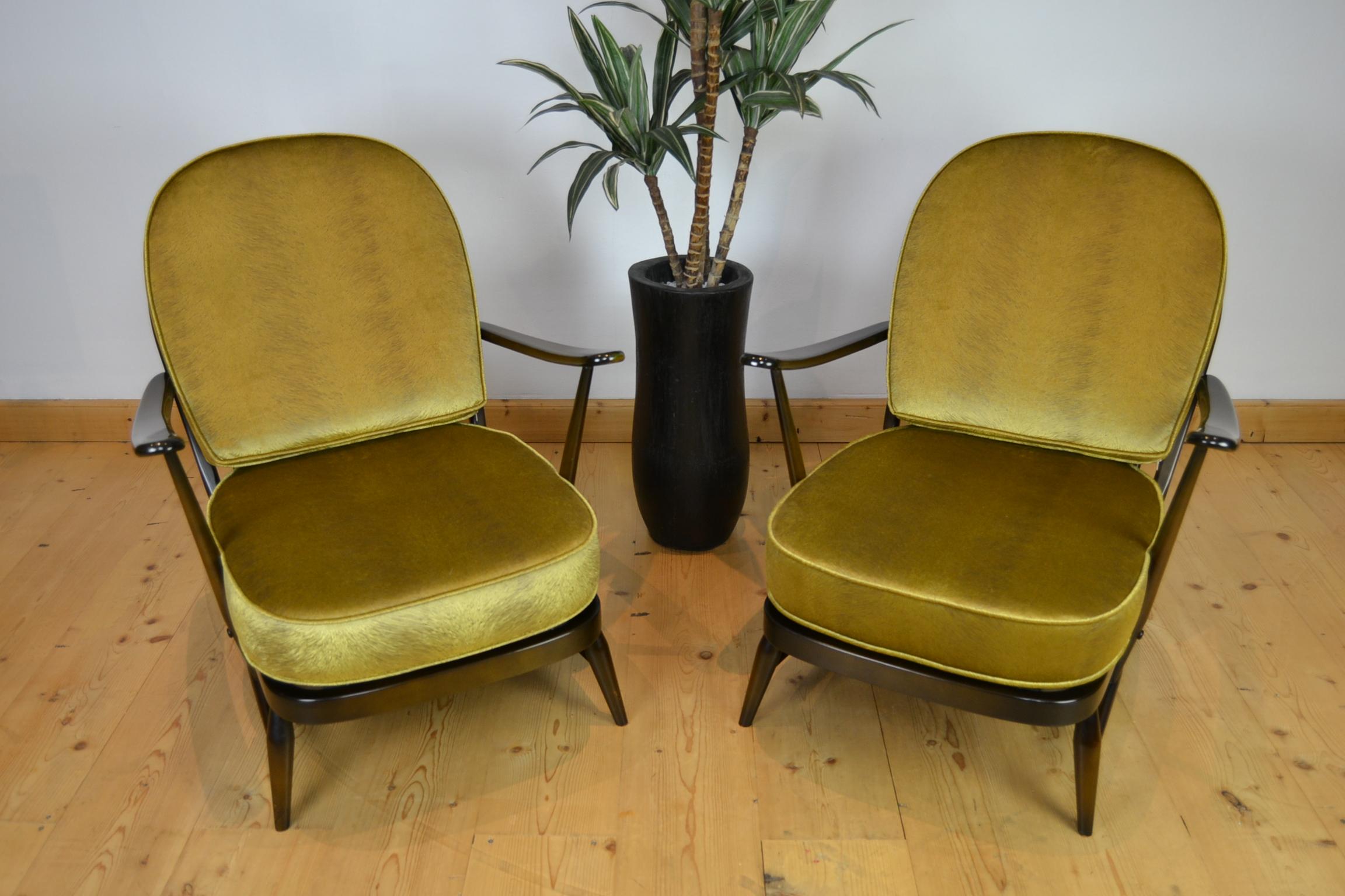 20th Century 1970s Pair of Ercol Windsor Armchairs with new Cushions in Gold Pistoia Velvet For Sale