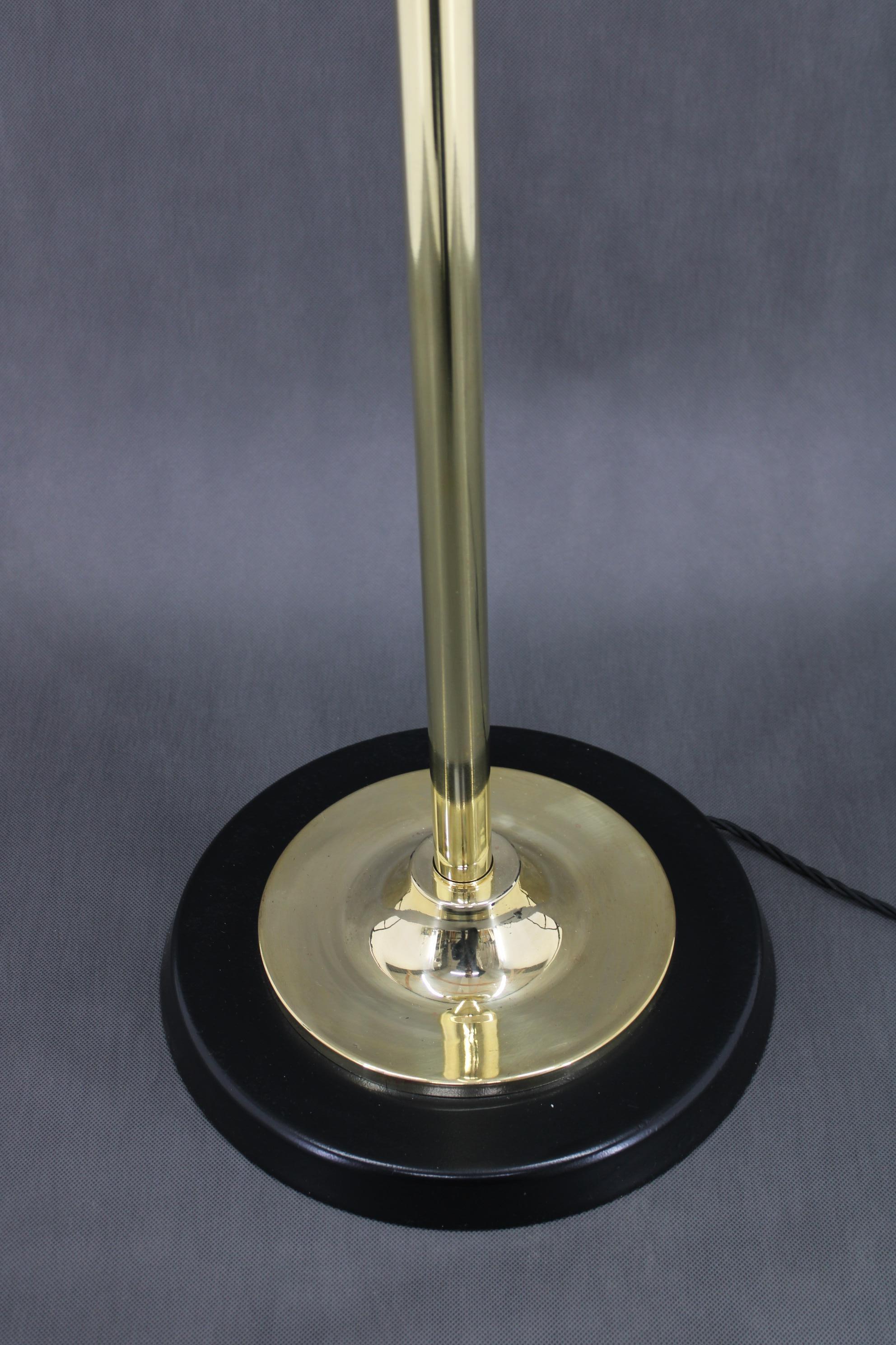 1970s Pair of Glass Brass Floor Lamps by Kamenicky Senov , Czechoslovakia For Sale 7