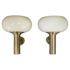 Wall Lights and Sconces