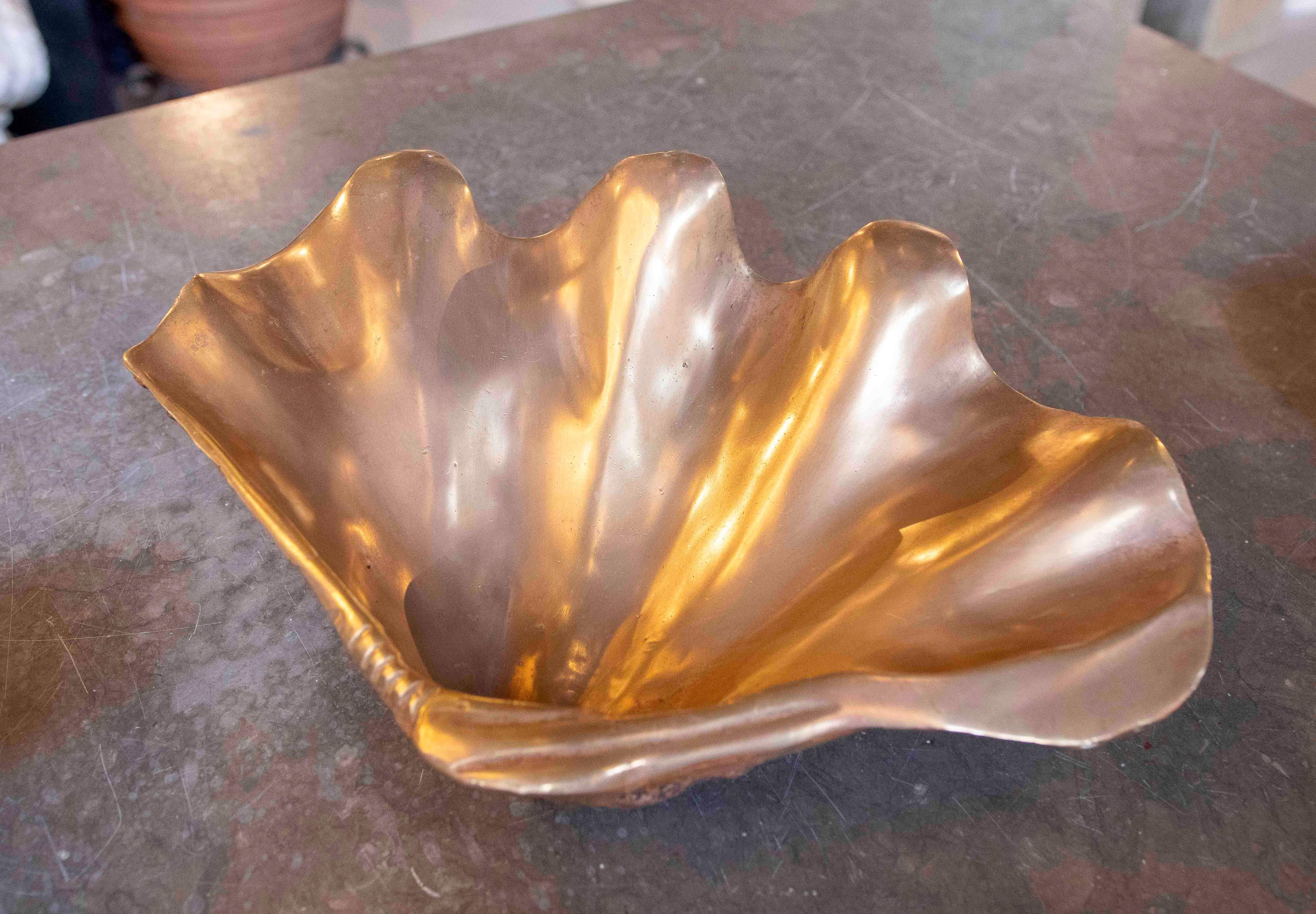 1970s Pair of Two-Tone Bronze Shells  3