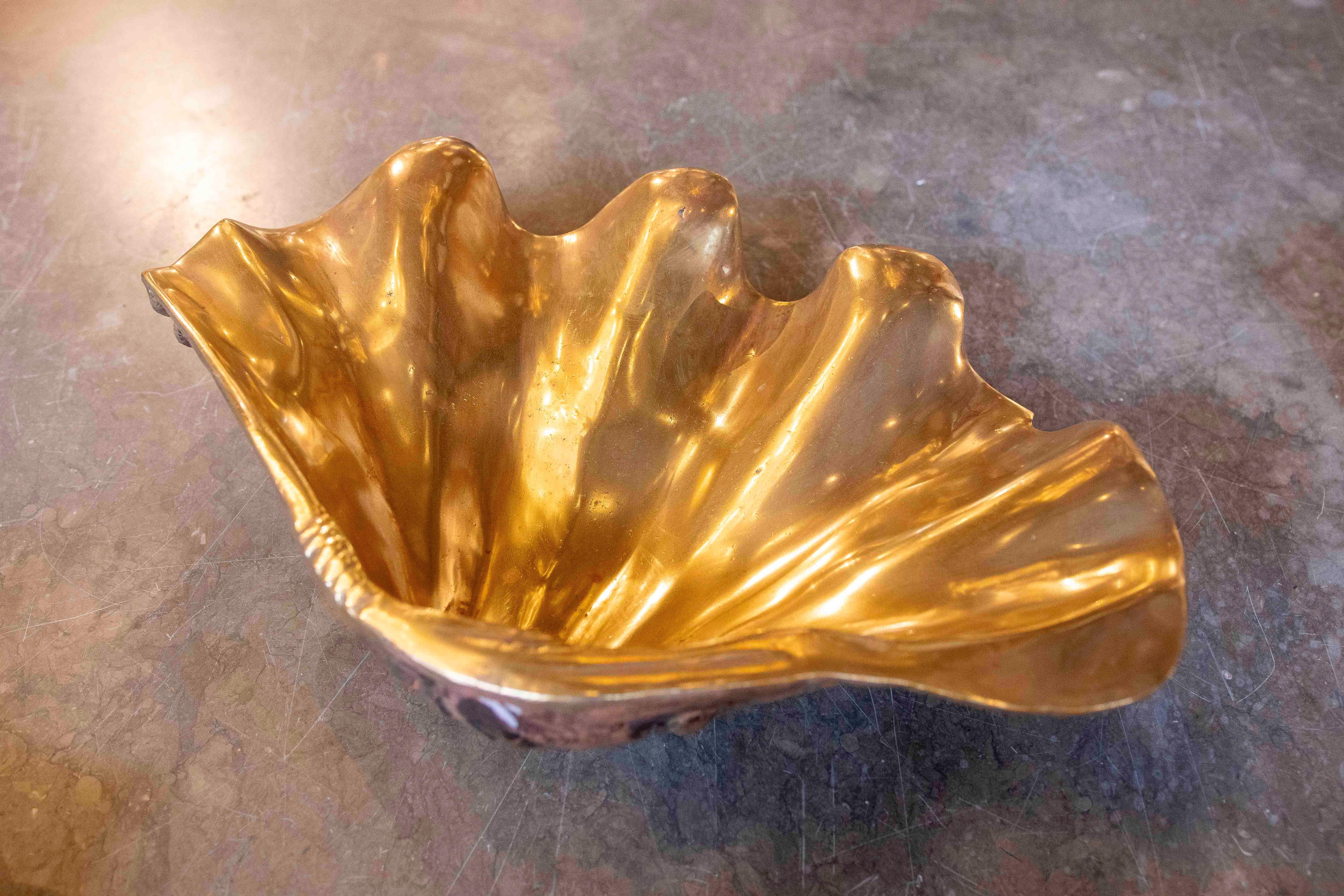 1970s Pair of Two-Tone Bronze Shells  4