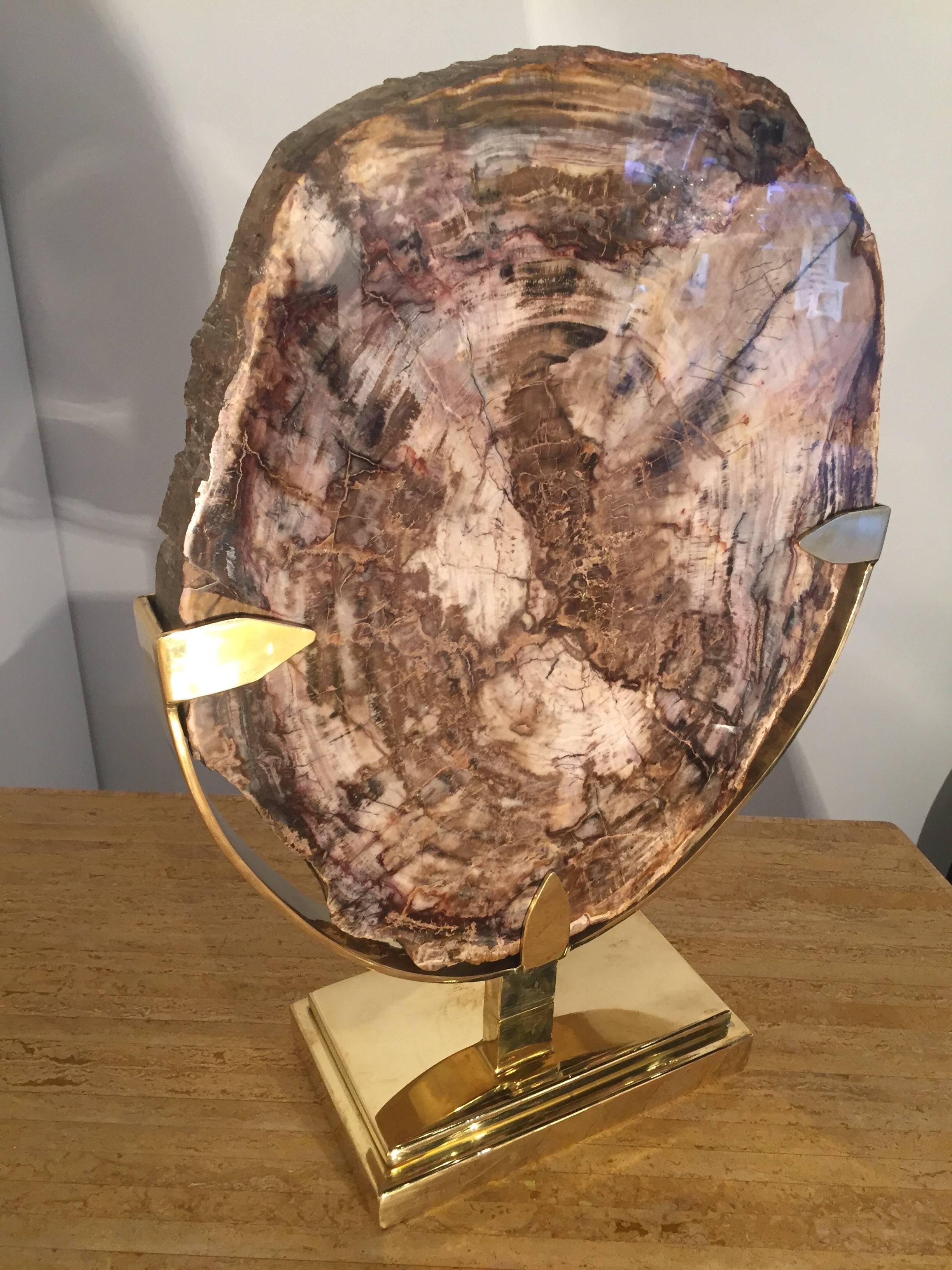 Late 20th Century 1970s Petrified Wood Mounted with Brass