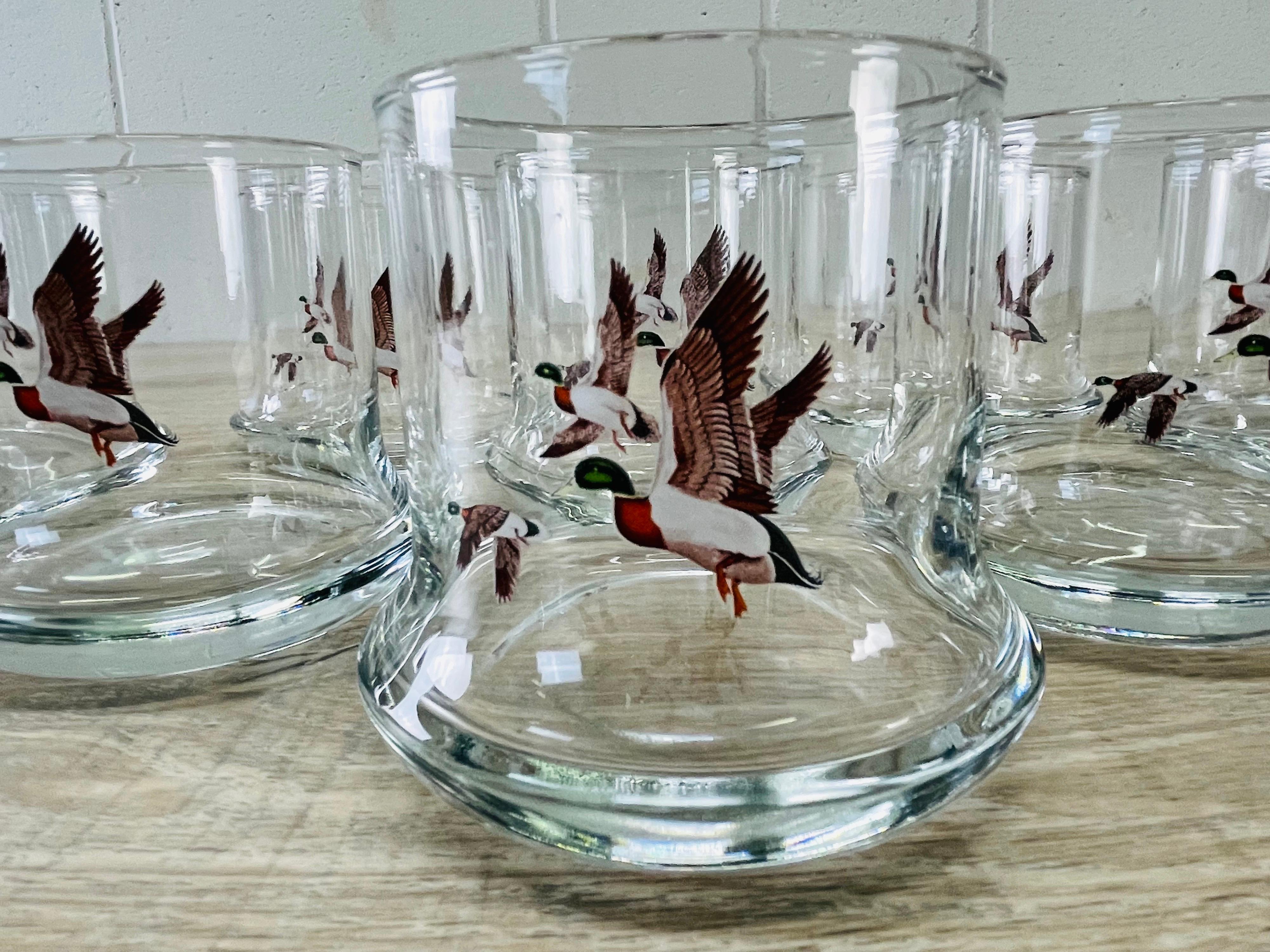 Mid-Century Modern 1970s Pheasant Glass Tumblers, Set of 8 For Sale