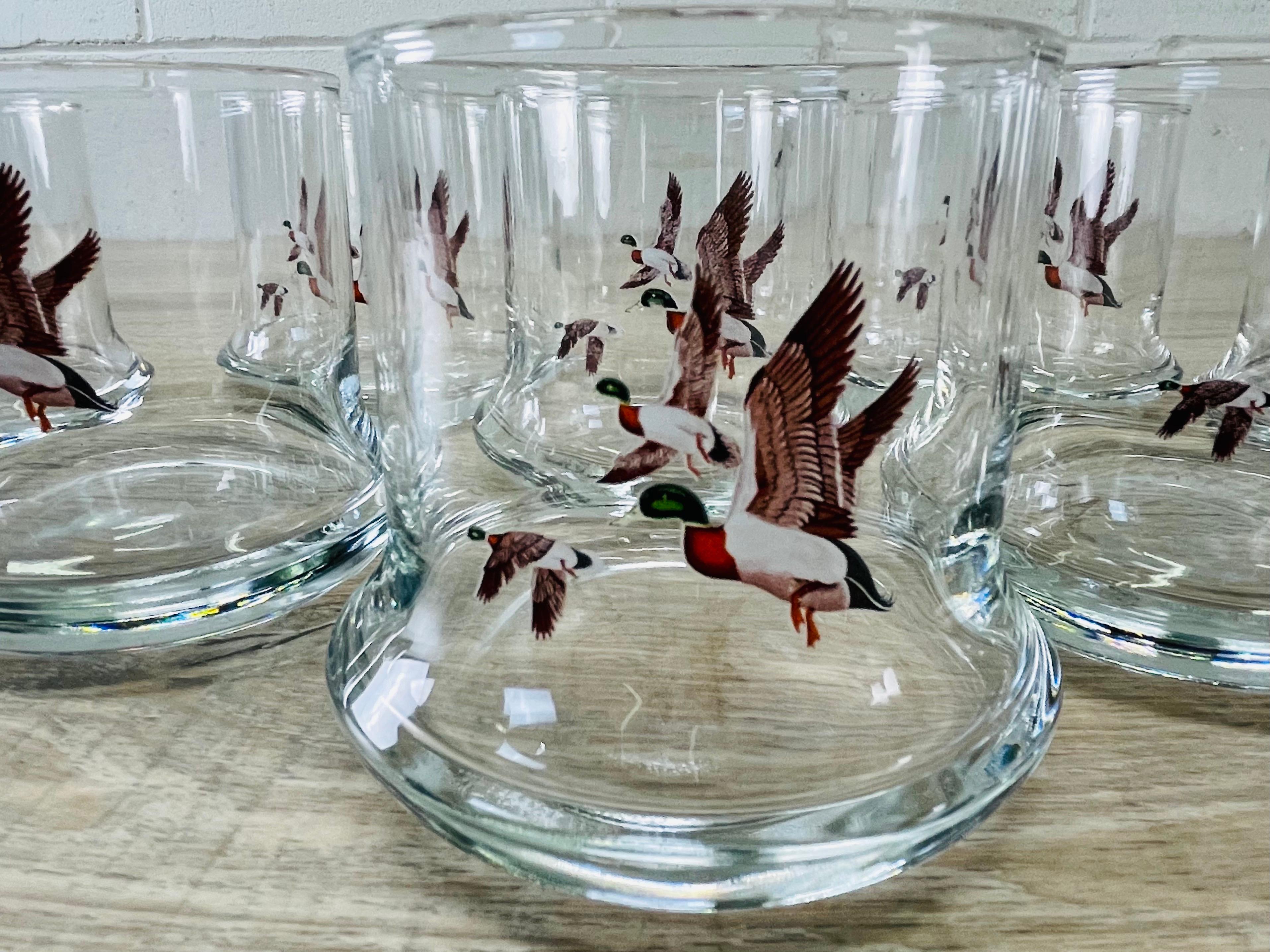 1970s Pheasant Glass Tumblers, Set of 8 For Sale 3