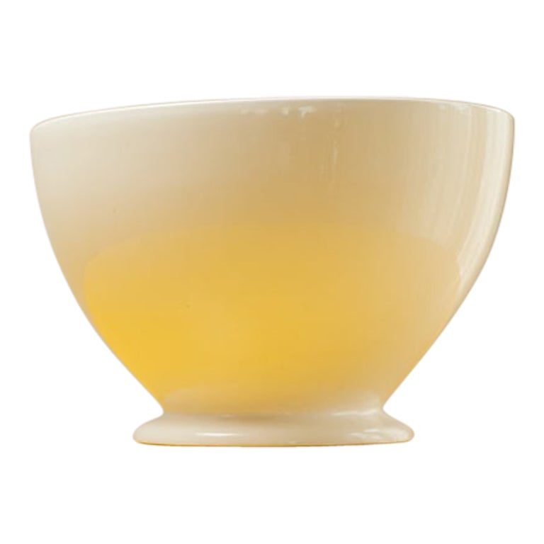 1970s Publicity Bowl for Royal Boch