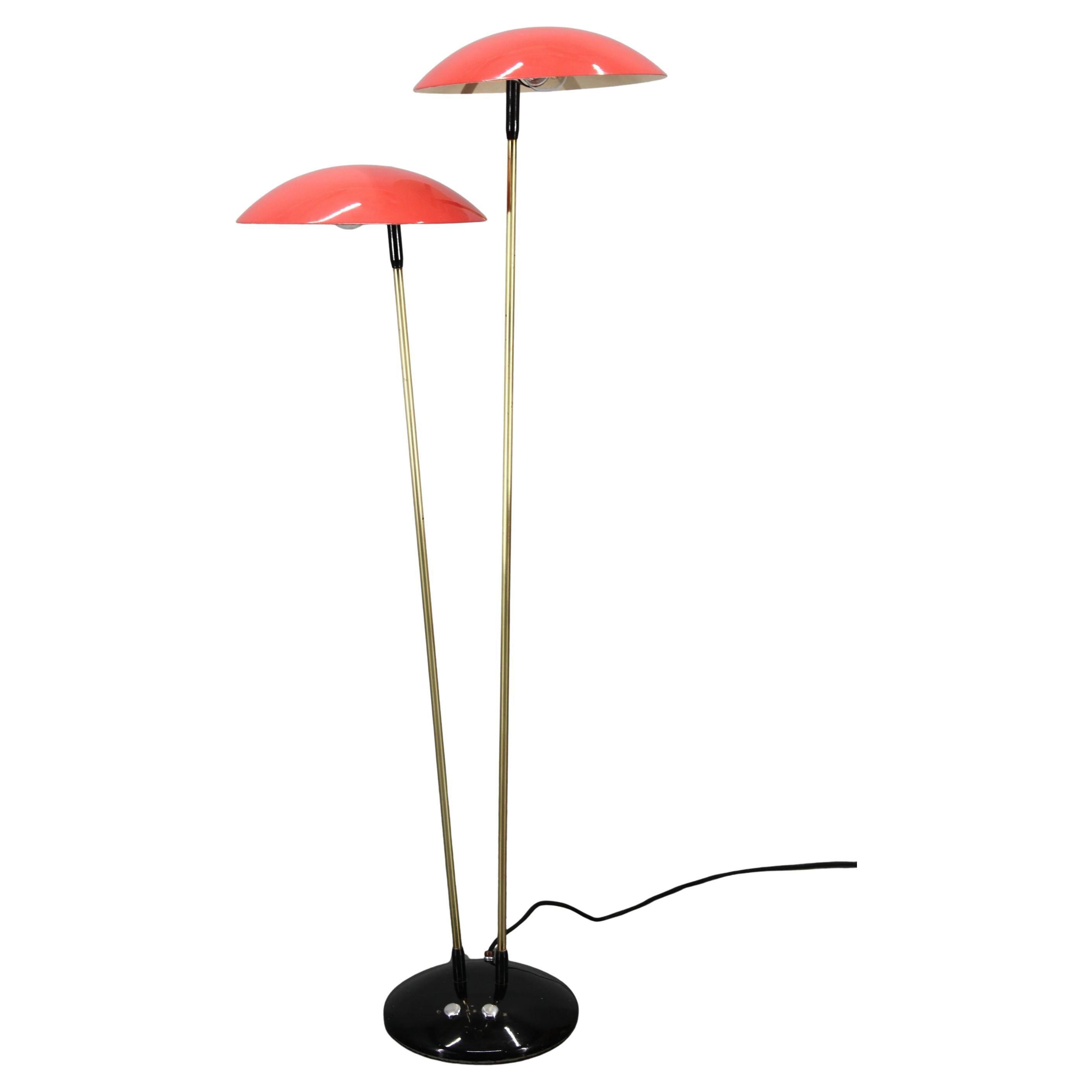 Drukov Floor Lamps