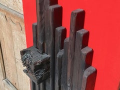 1970s Redwood Assemblage on Velvet