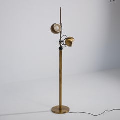 1970s Reggiani Brass-Plated Floor Lamp with Two Adjustable Globe Heads