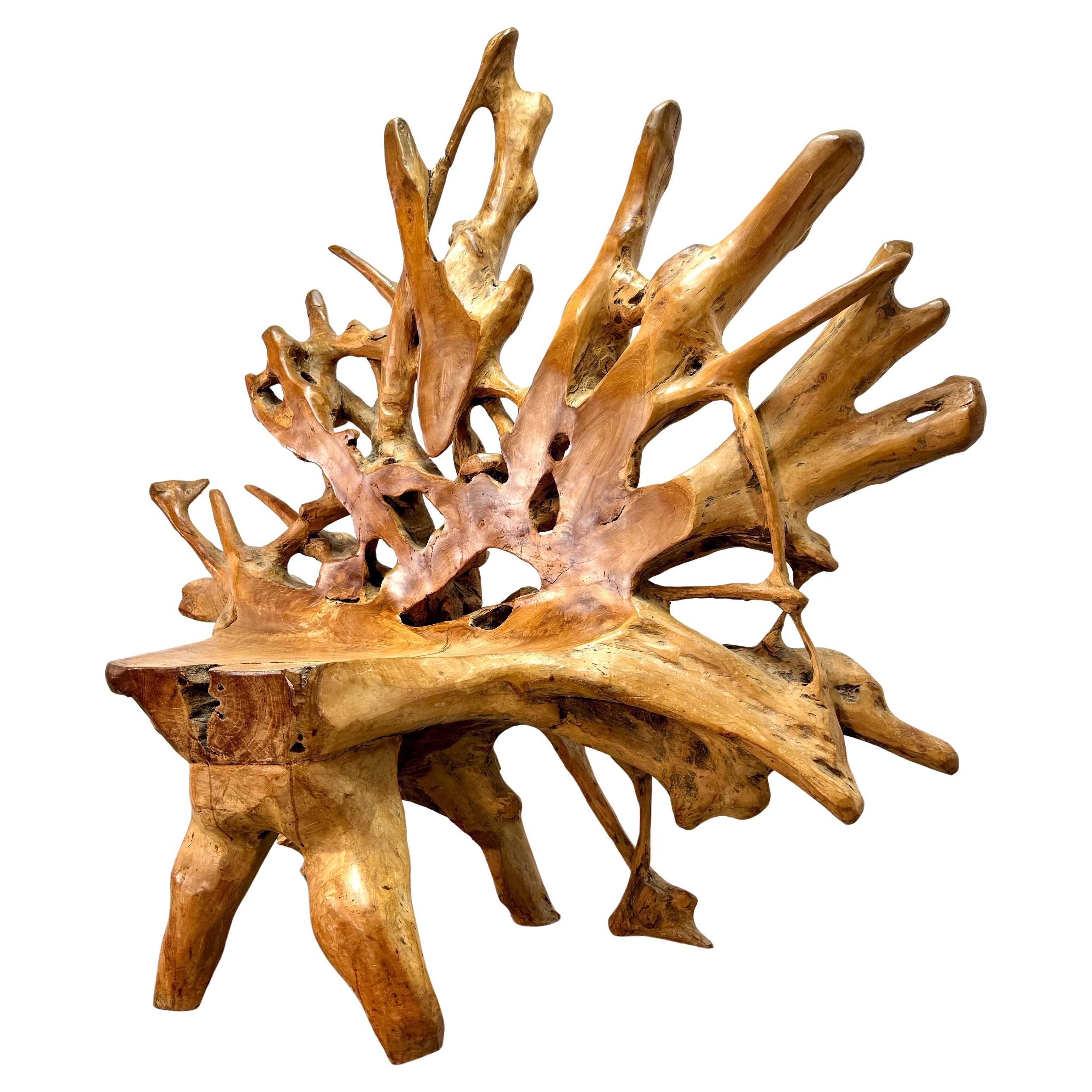 1970's Root chair from a French Chestnut tree stump.