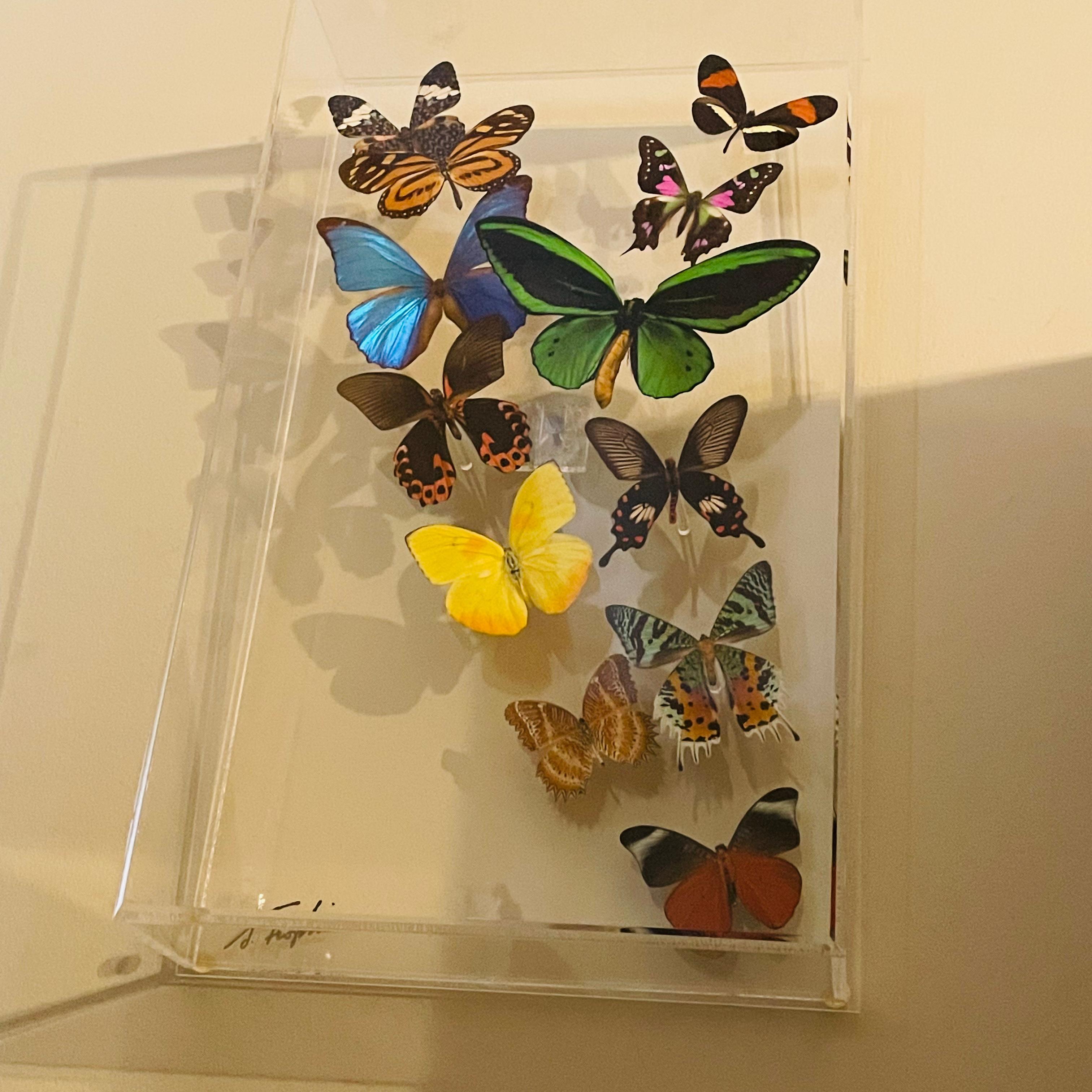 Boîte d'ombres papillon en acrylique et lucite Sam Trophia des années 1970 en vente 4