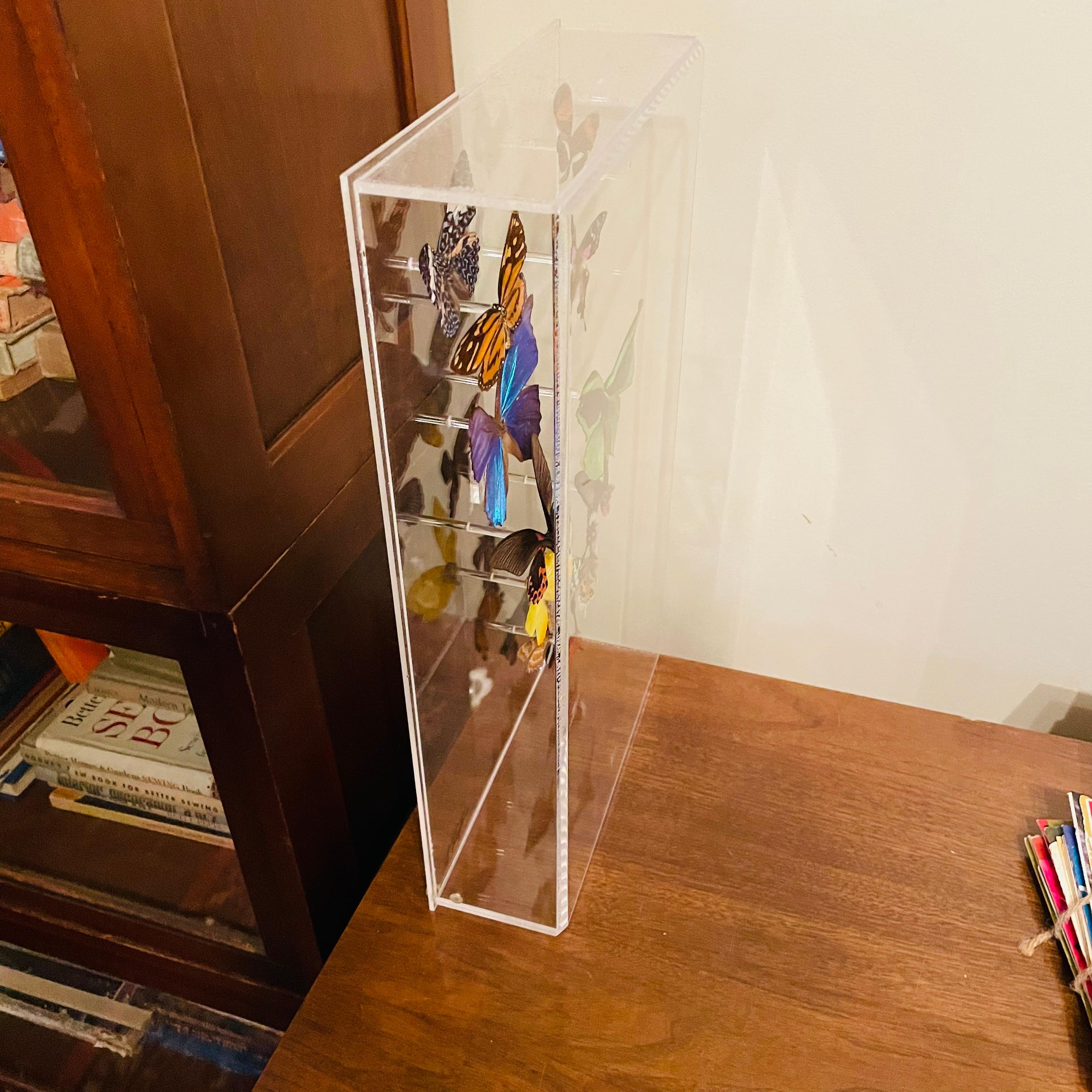 Other 1970s Sam Trophia Acrylic Lucite Butterfly Shadowbox For Sale