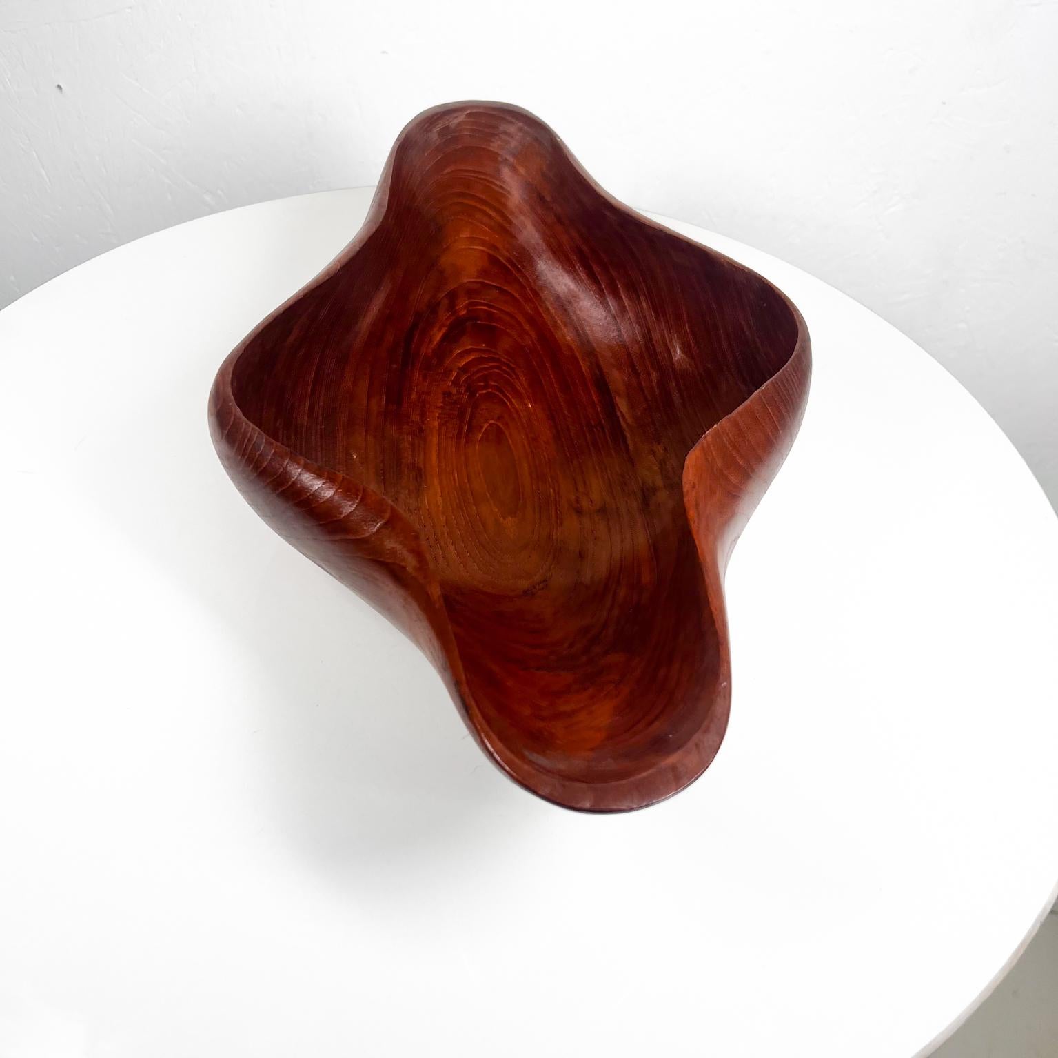 Late 20th Century 1970s Sculptural Organic Modern Bowl in Teak Wood For Sale