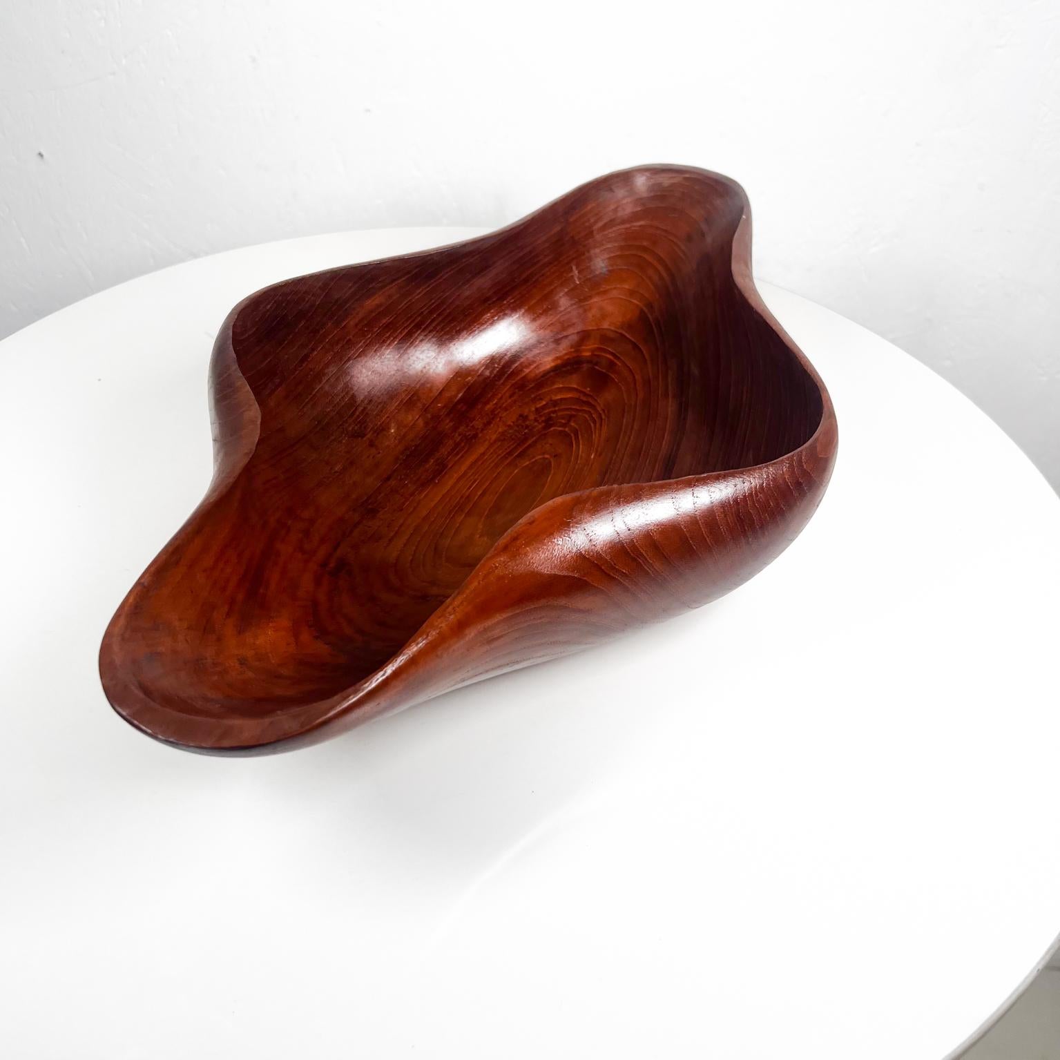 1970s Sculptural Organic Modern Bowl in Teak Wood For Sale 1