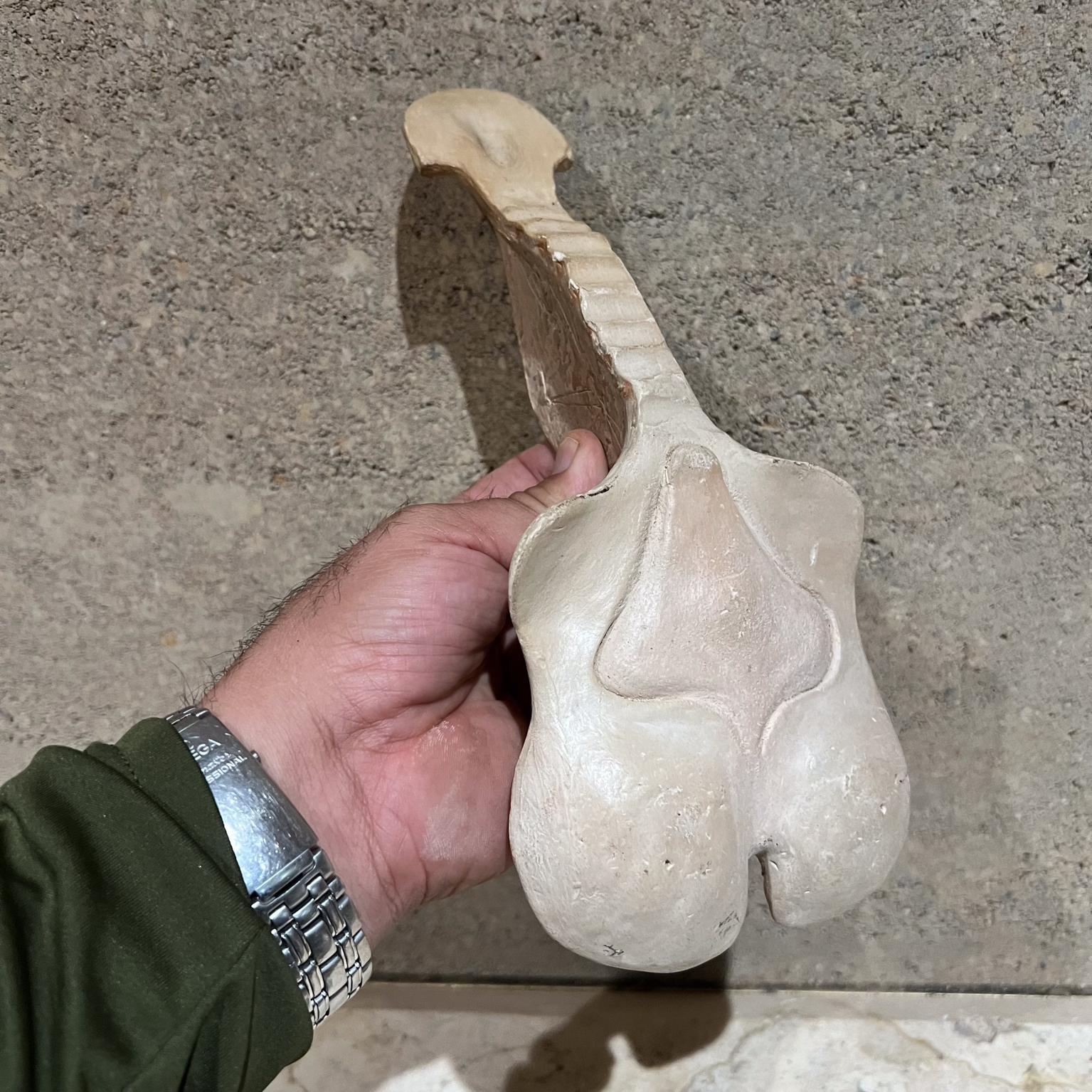 Studio Pottery degli anni '70 Scultura d'arte Vertebre bianche in vendita 5