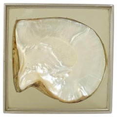 1970s Shell in resin with a steel frame vide poche.