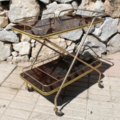 1970s Spanish Bronze and Mahogany Drinks Trolley