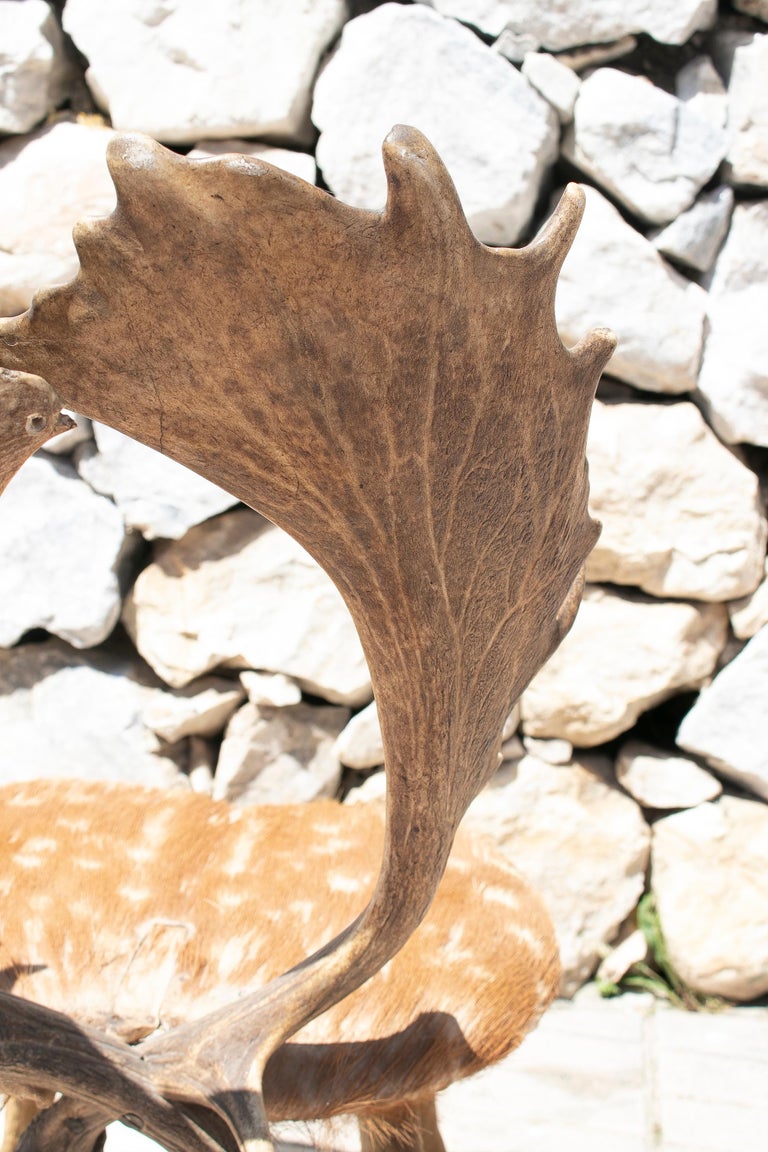 1970s Spanish Deer Antlers Chair w/ Fur Seat and Legs For Sale at 1stDibs deer antlers in