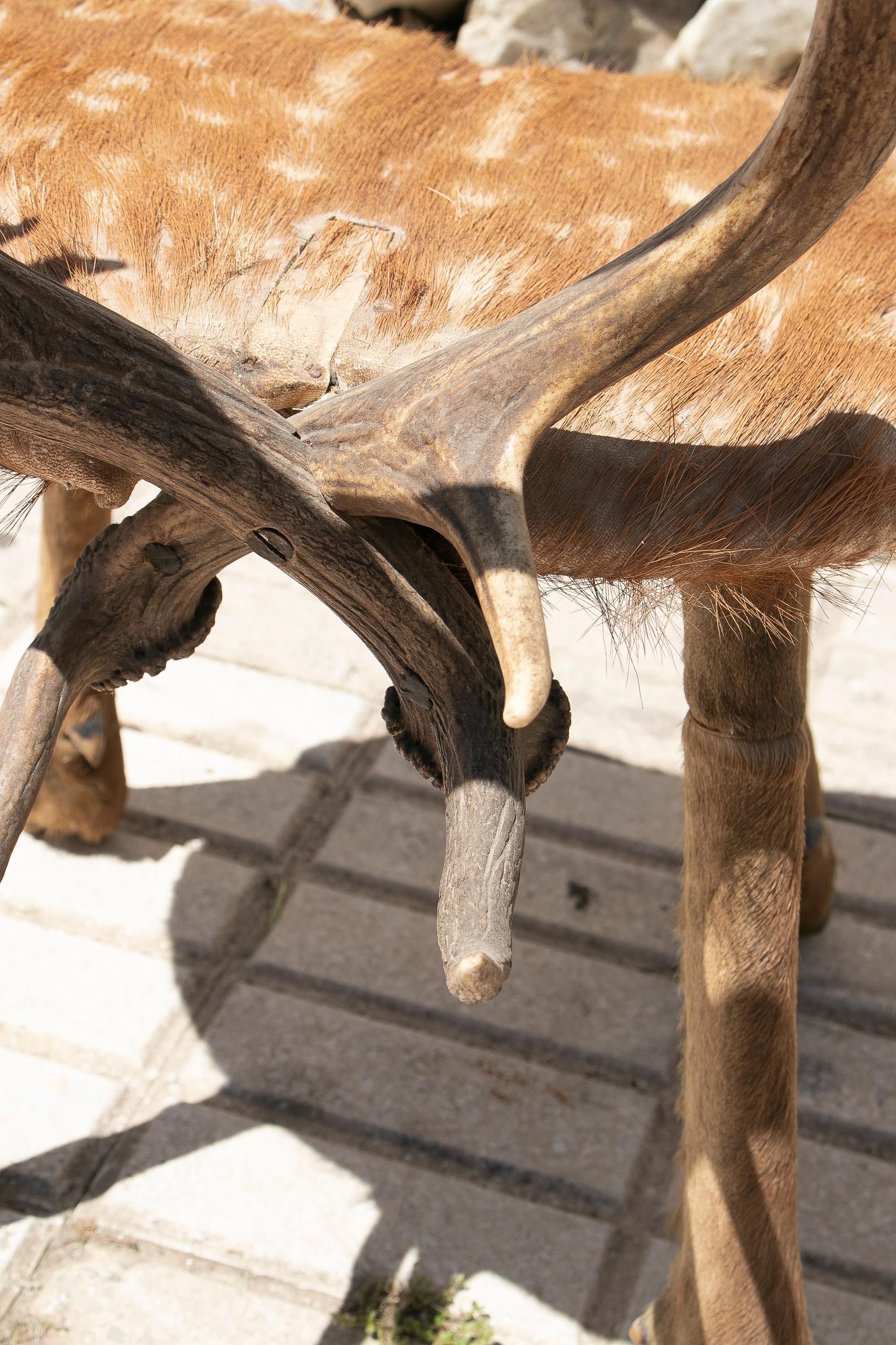 1970s Spanish Deer Antlers Chair w/ Fur Seat and Legs 6