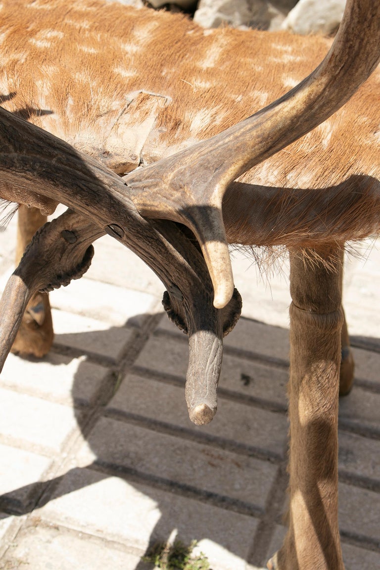 1970s Spanish Deer Antlers Chair w/ Fur Seat and Legs For Sale at 1stDibs deer antlers in