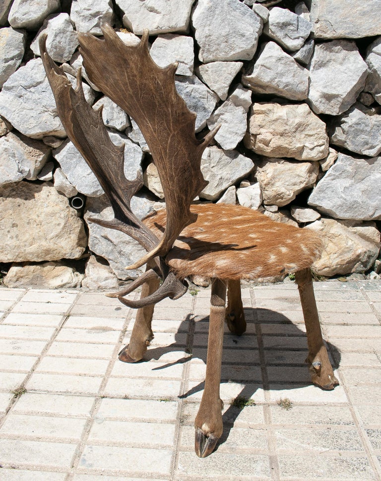 1970s Spanish Deer Antlers Chair w/ Fur Seat and Legs For Sale at 1stDibs deer antlers in
