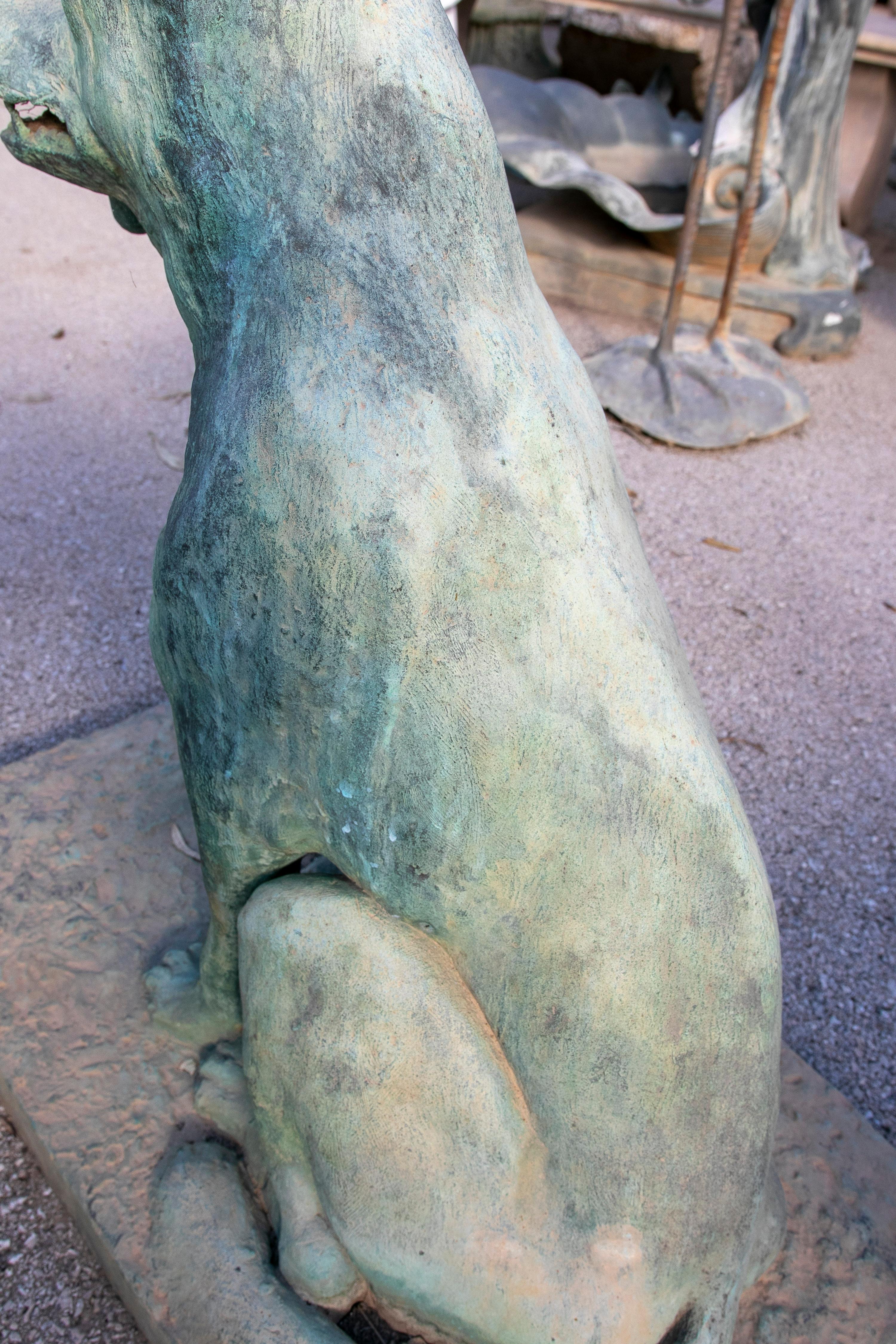 1970s Spanish Signed Life-Size Bronze Dog Garden Sculpture For Sale 11