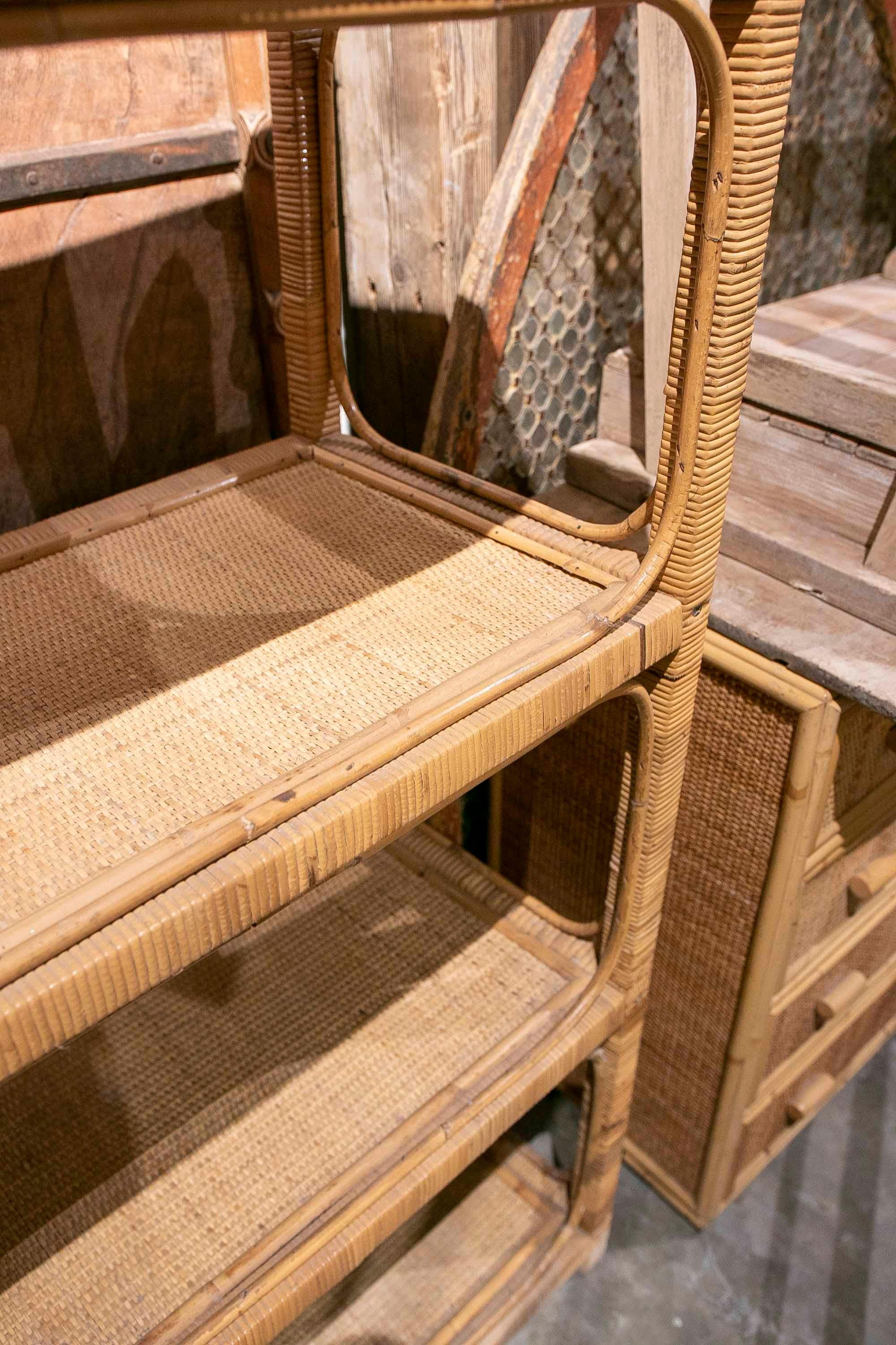 Bamboo 1970s Spanish Wicker and Rattan Bookshelf 