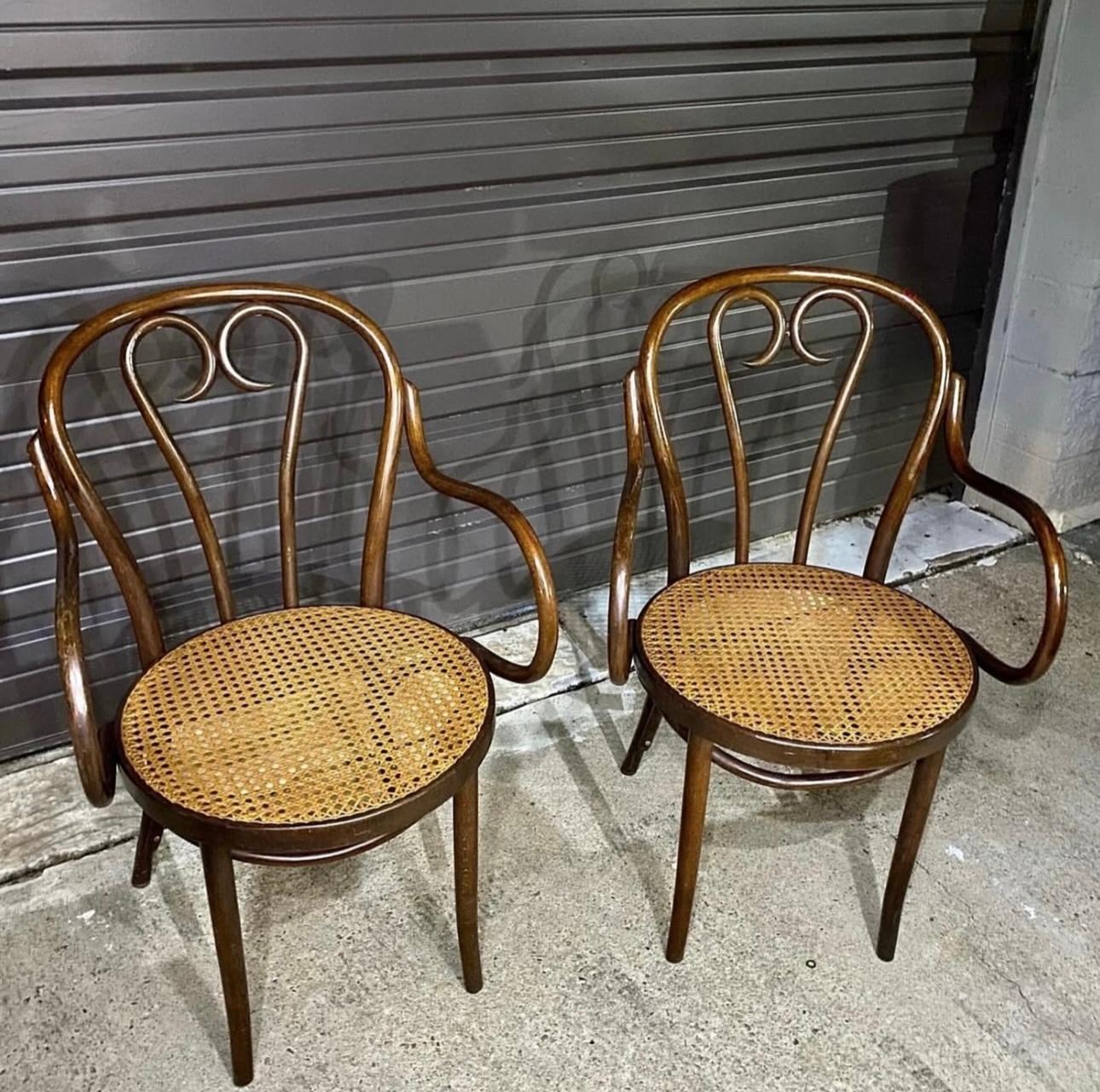 Bohémien Poltrone Thonet ZPM Radomsko Sweetheart #16 Bentwood Cane del 1970