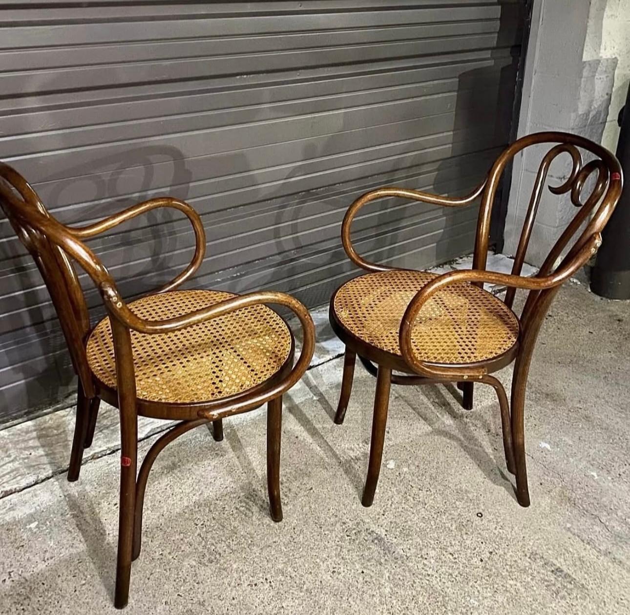 Americano Poltrone Thonet ZPM Radomsko Sweetheart #16 Bentwood Cane del 1970