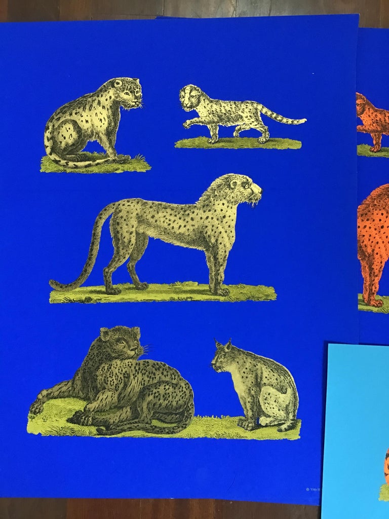 Late 20th Century 1970s Tiber Press Cheetah Lithographs For Sale
