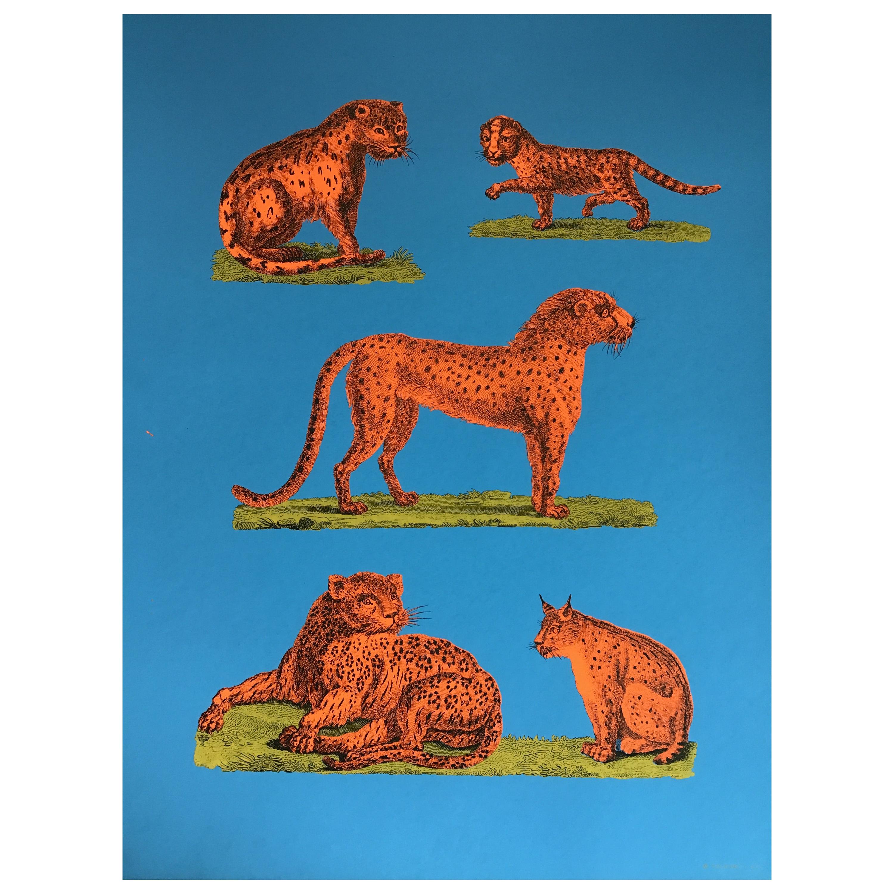 1970s Tiber Press Cheetah Lithographs