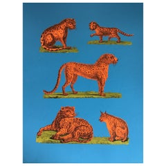 Vintage 1970s Tiber Press Cheetah Lithographs