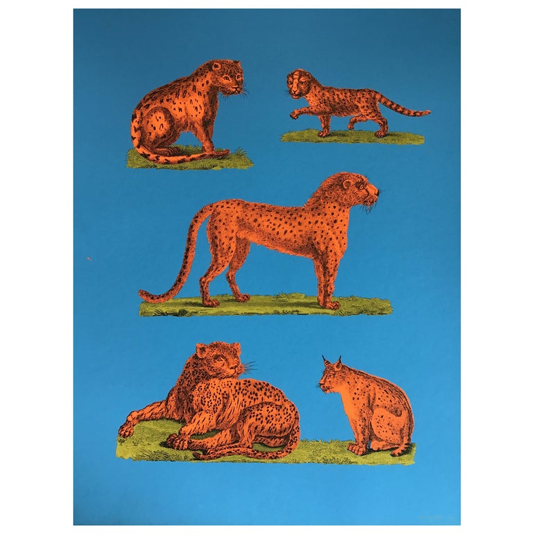 1970s Tiber Press Cheetah Lithographs For Sale