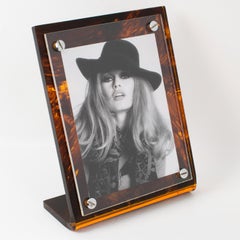 1970er Jahre Schildpatt Lucite und Chrom Bilderrahmen