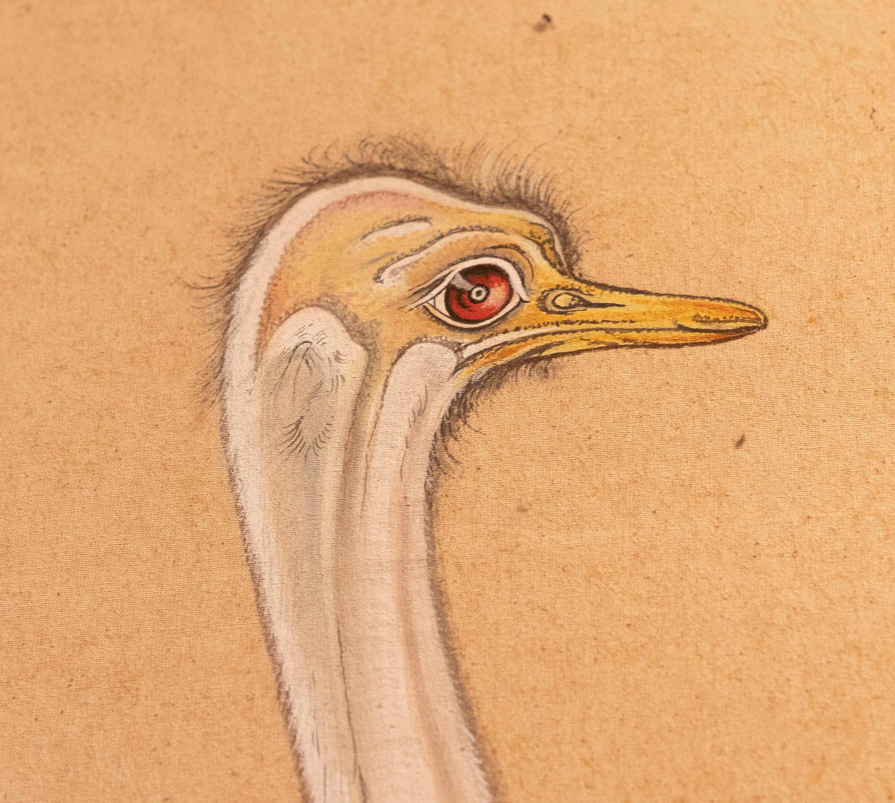 1970s Traditional Indian Ostrich Painting, Naturalistic Style For Sale 6