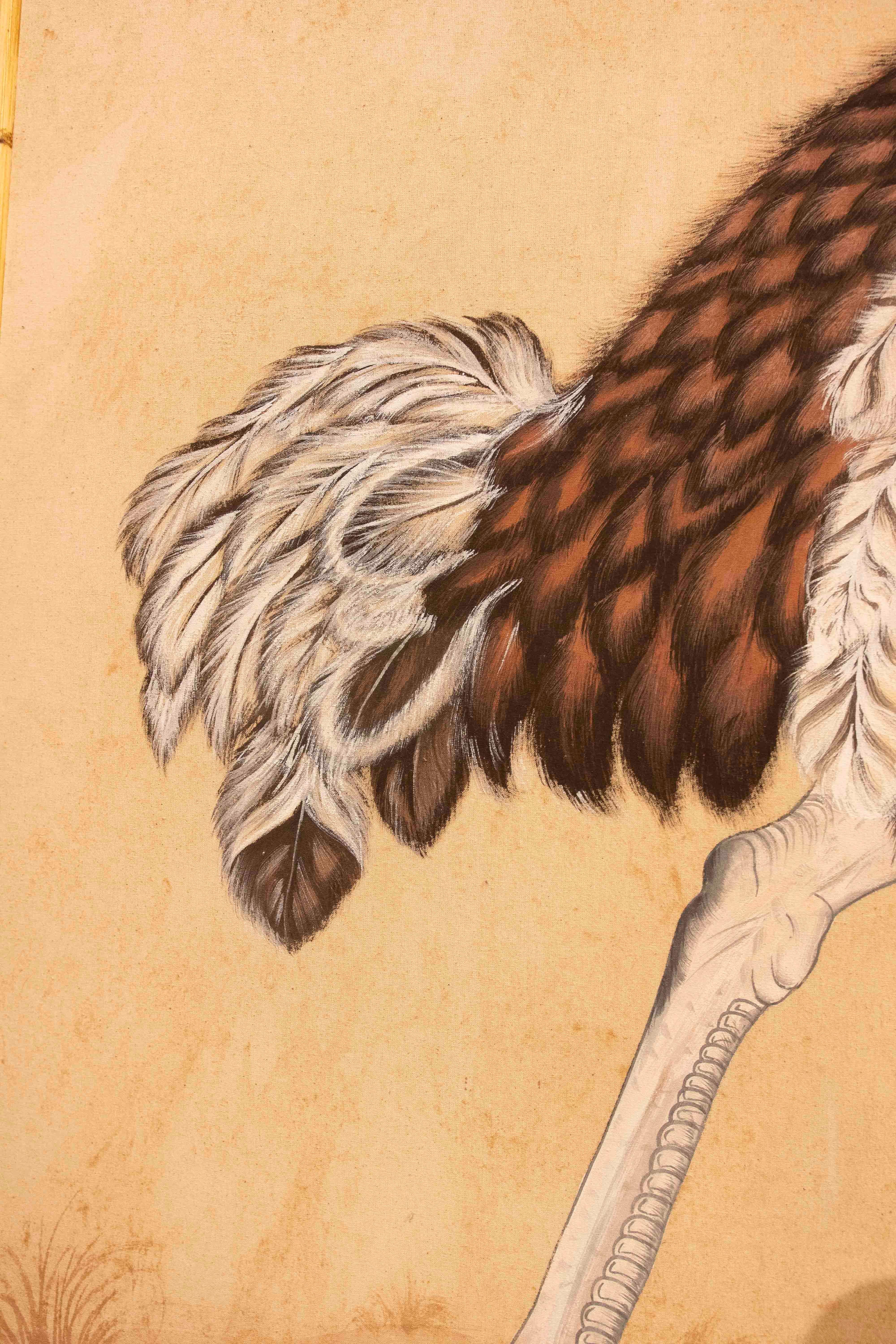 An exquisite Indian painting done in a naturalistic style, depicting an ostrich in profile with great attention to detail in the feathers, posture, and surroundings. The work features a neutral background with light touches of vegetation, which