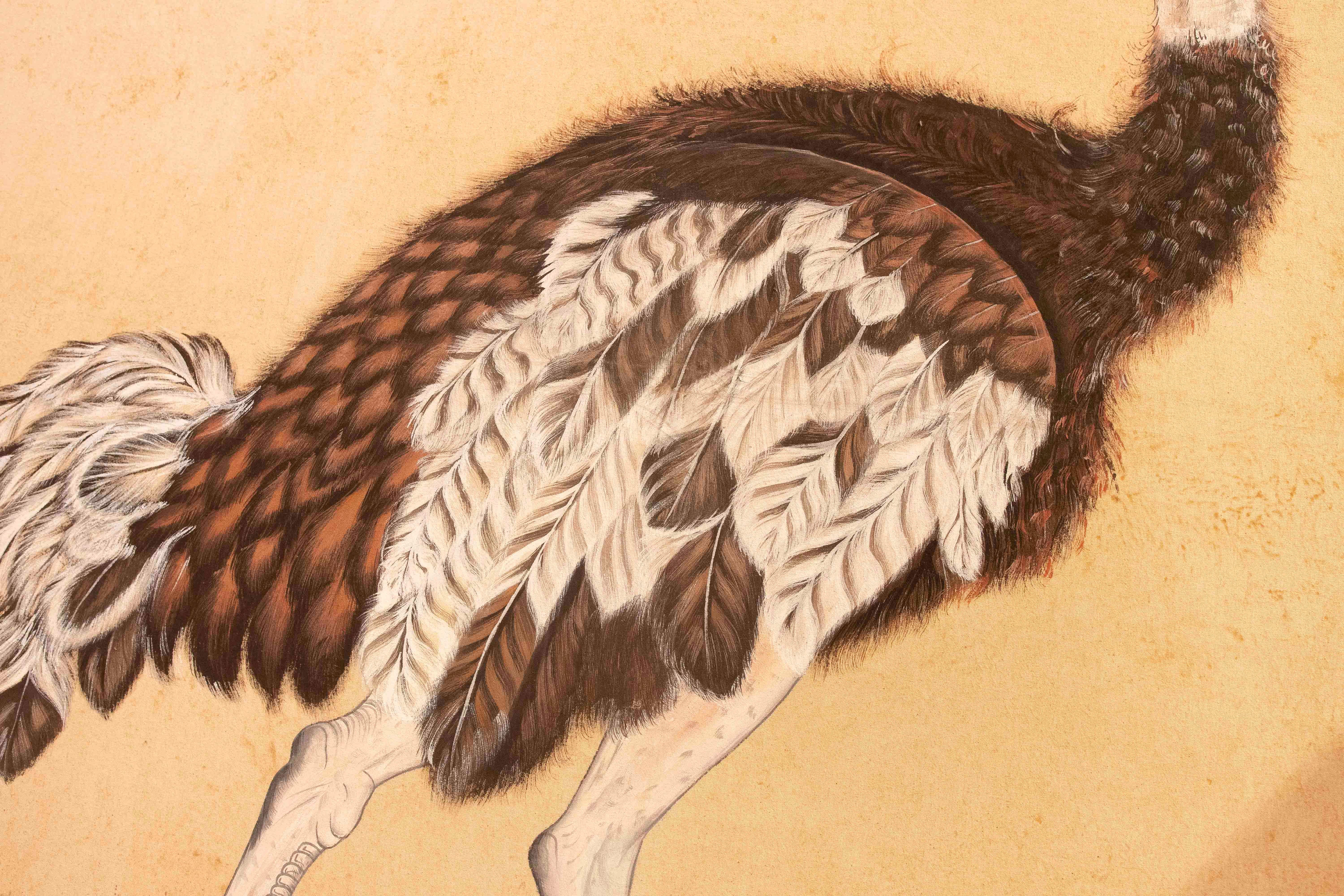 1970s Traditional Indian Ostrich Painting, Naturalistic Style In Good Condition For Sale In Marbella, ES