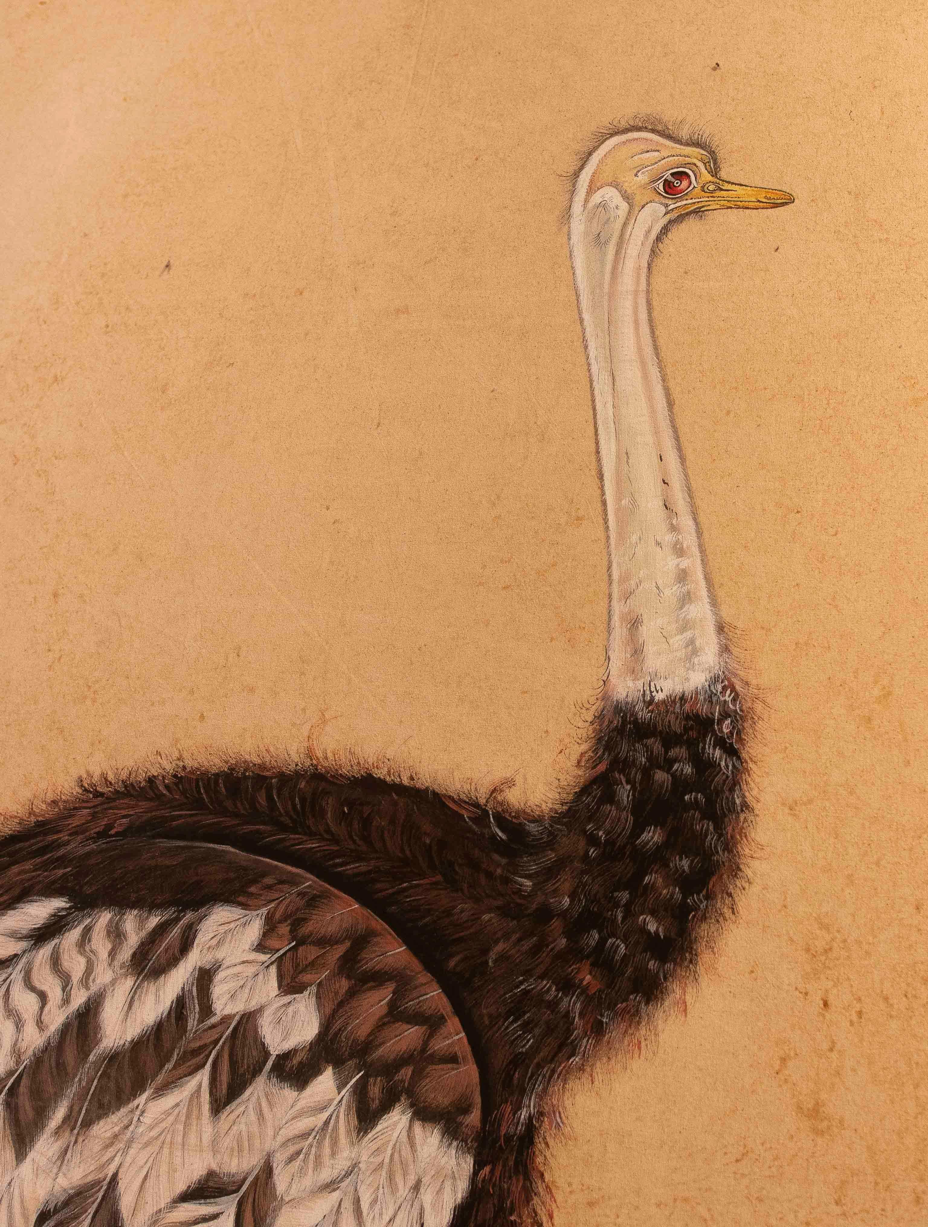 1970s Traditional Indian Ostrich Painting, Naturalistic Style For Sale 1