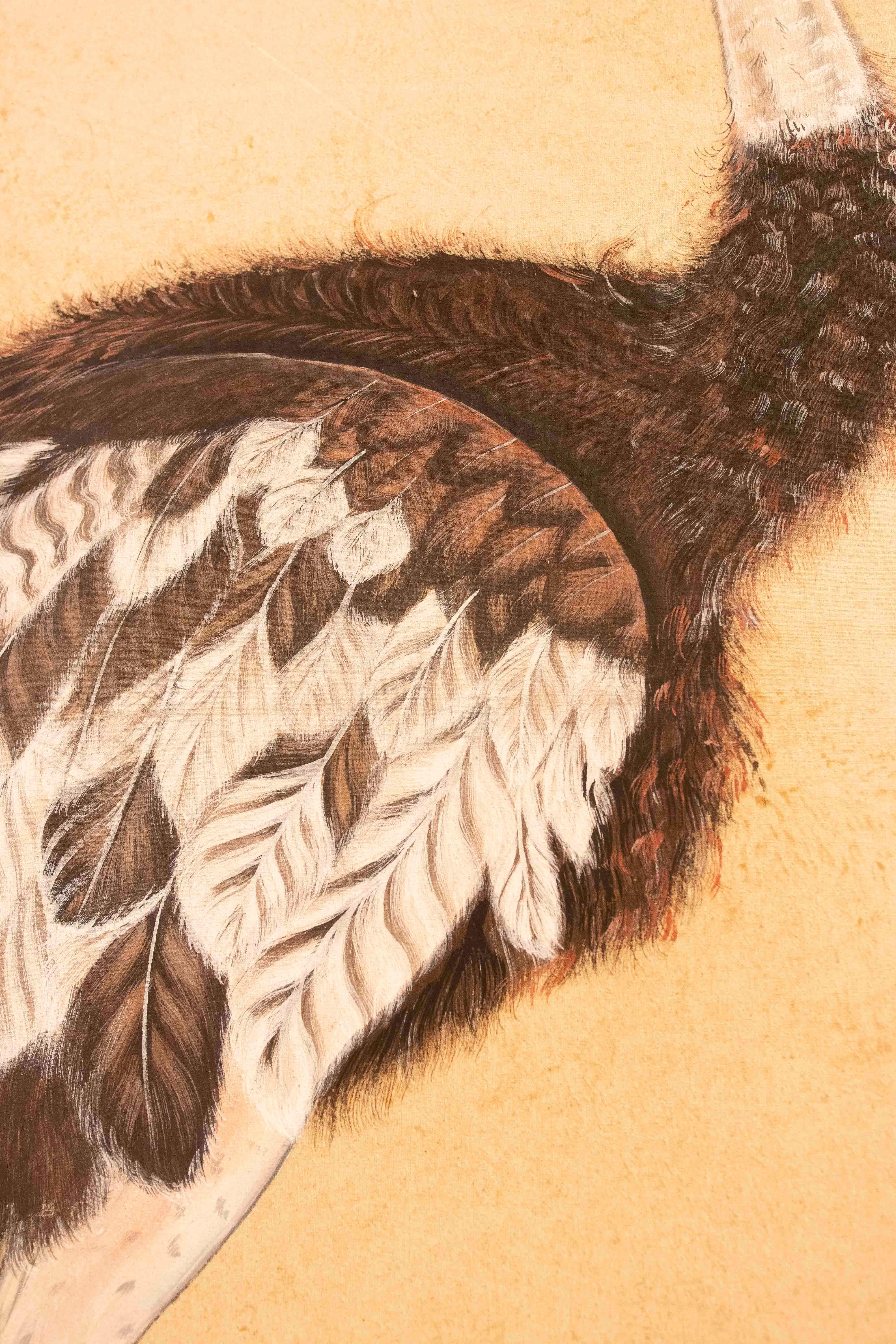 1970s Traditional Indian Ostrich Painting, Naturalistic Style For Sale 3