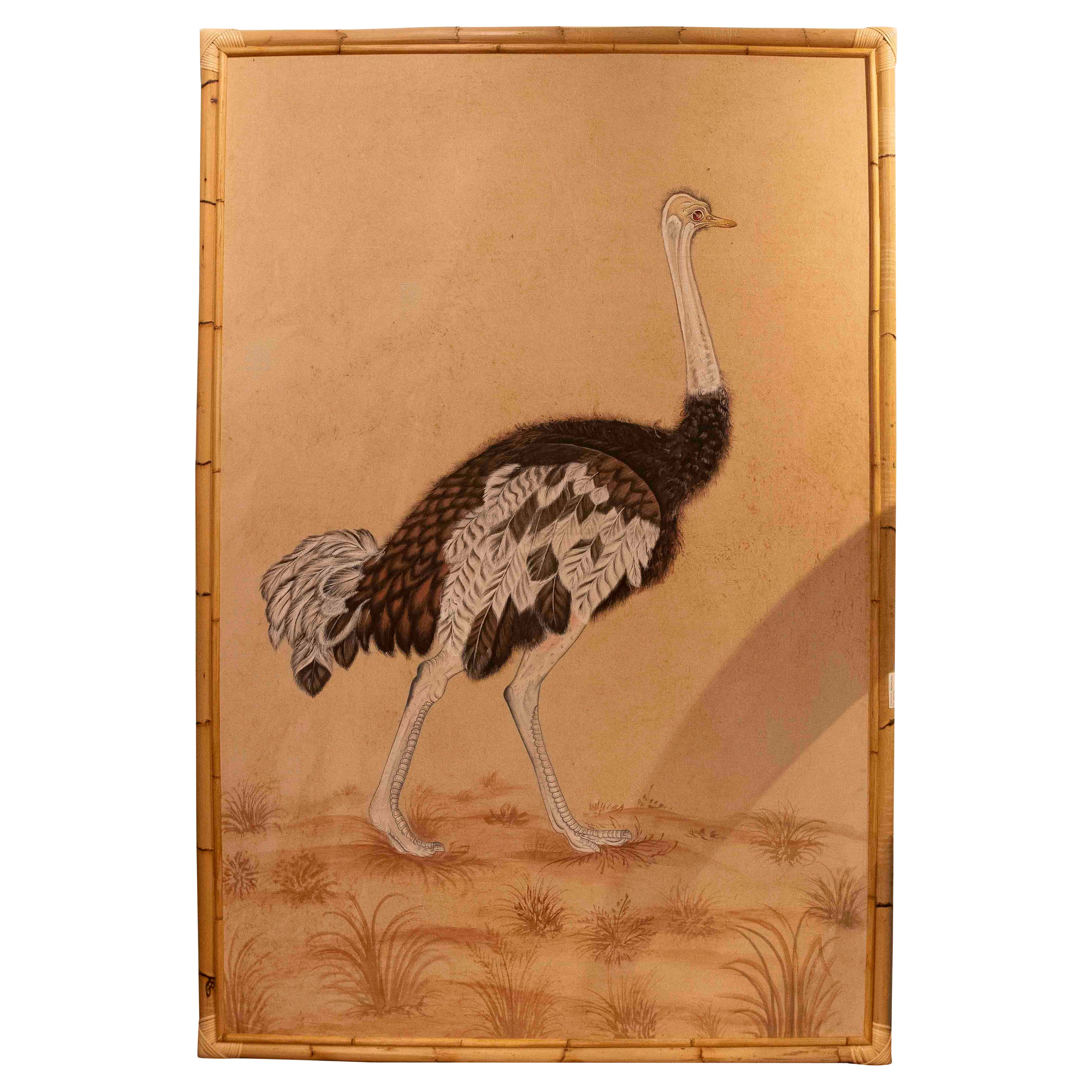 1970s Traditional Indian Ostrich Painting, Naturalistic Style For Sale