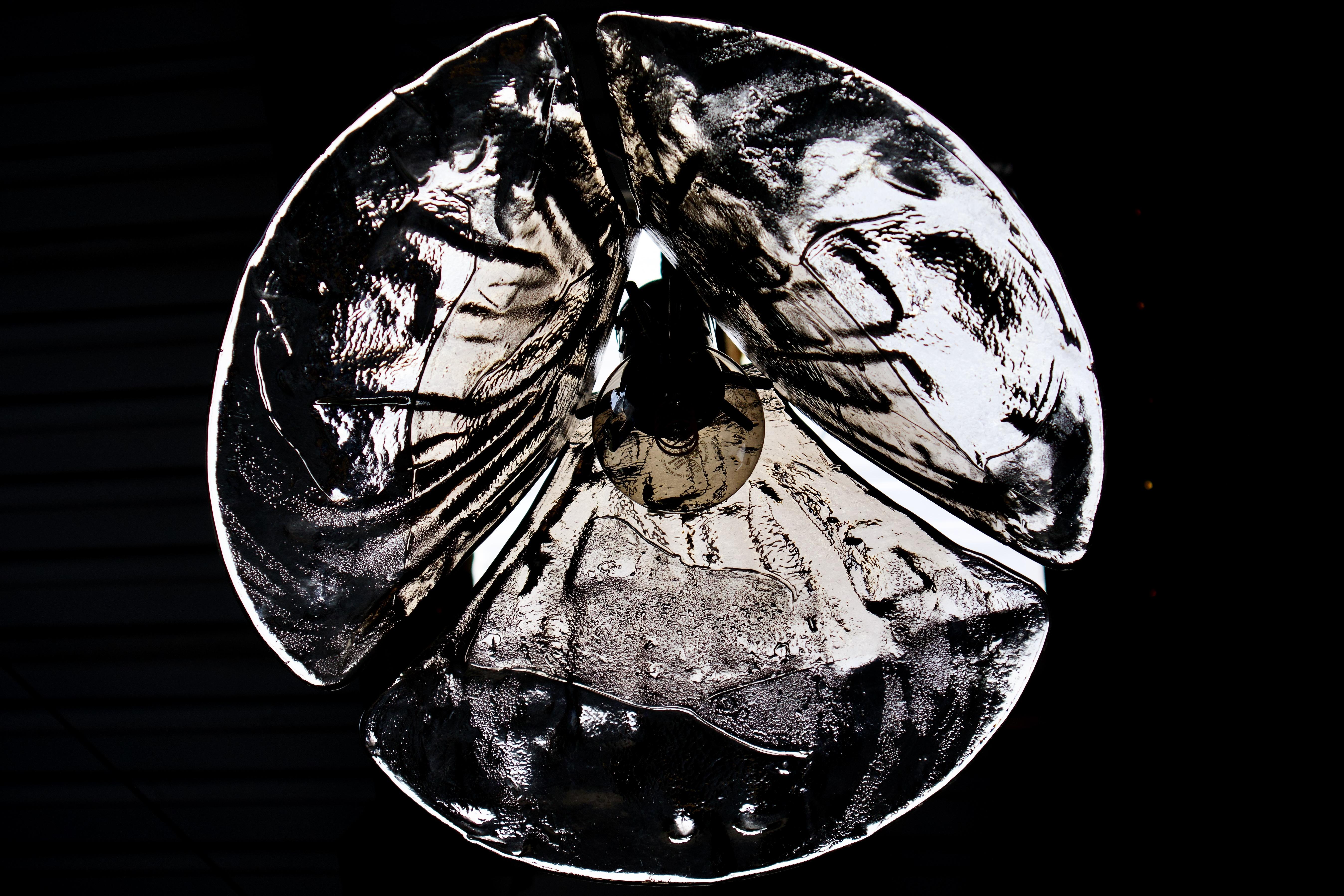 20th Century 1970s Tulip Murano Glass Pendant Lamp by Carlo Nason for Mazzega