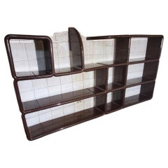 1970s Umbo Modular Shelving Unit by Kay LeRoy Ruggles for Directional 26 Pieces