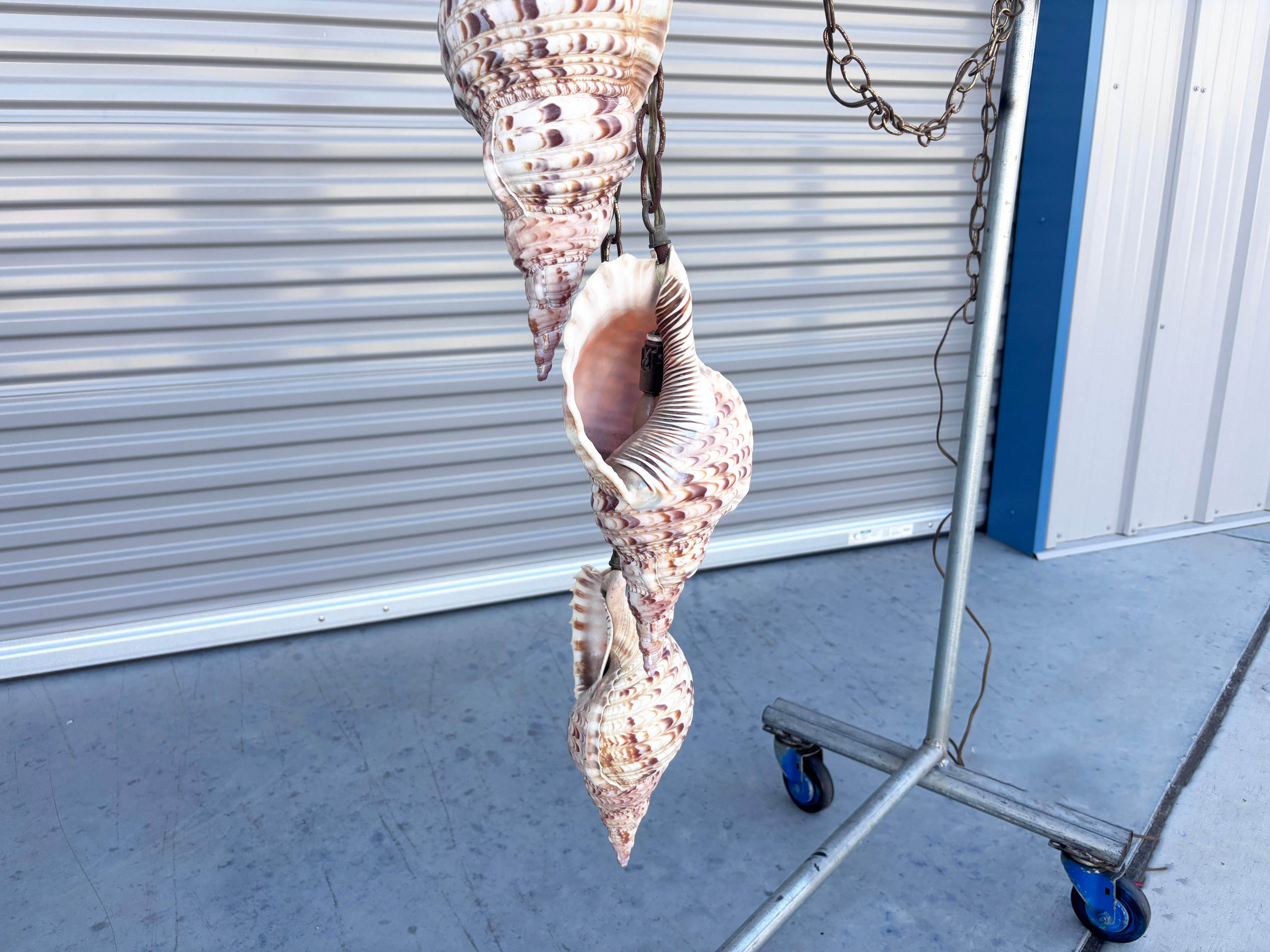 Araña bivalva vintage de los años 70 finales del siglo XX en venta