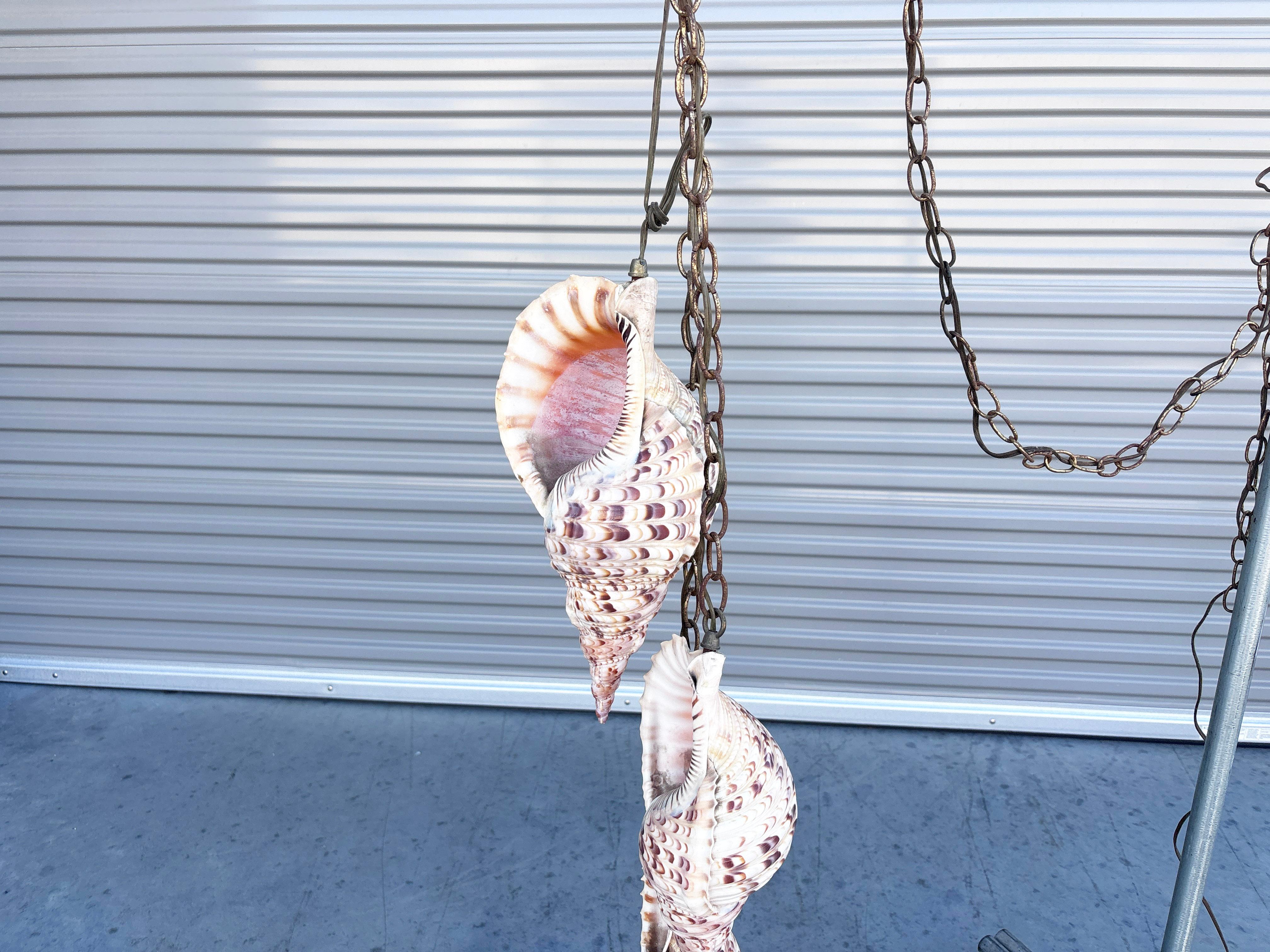 Araña bivalva vintage de los años 70 Caparazón en venta