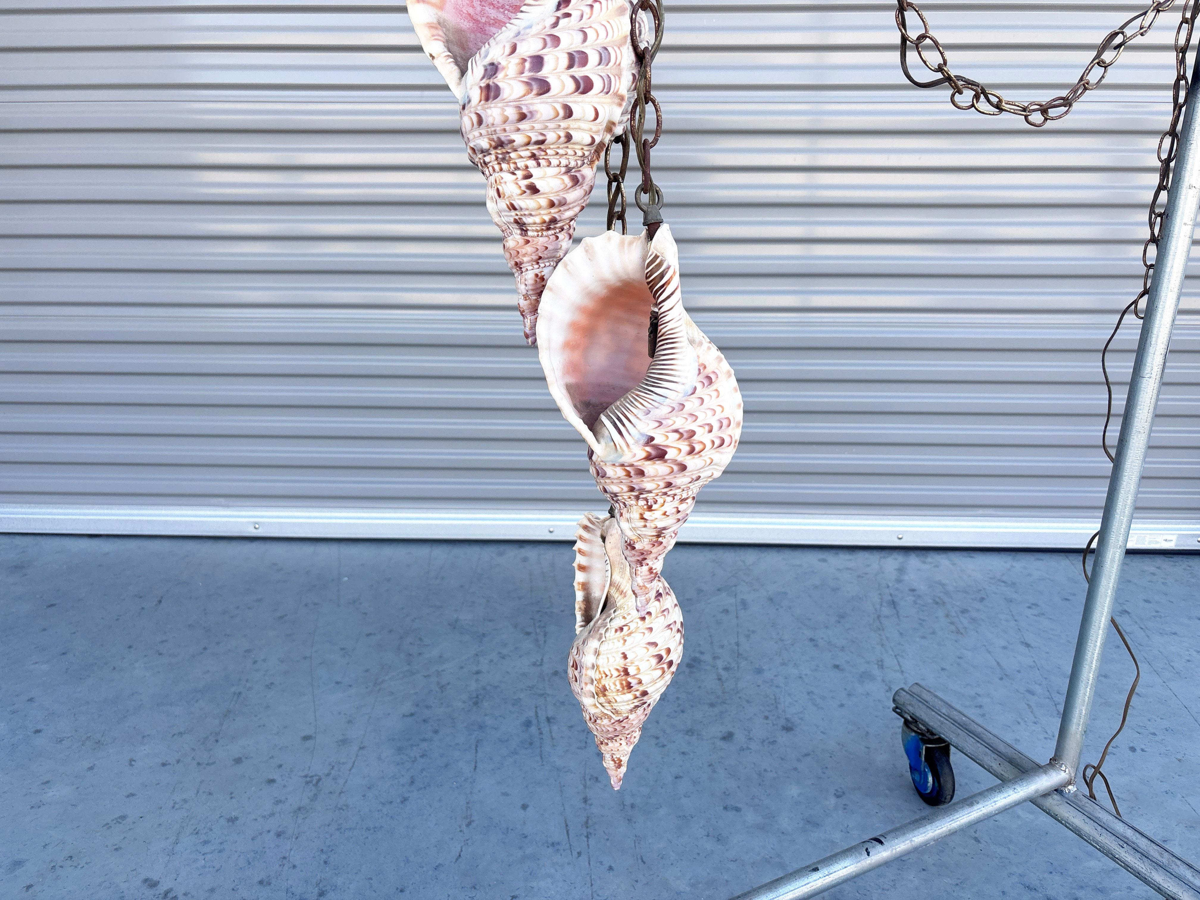 Araña bivalva vintage de los años 70 en venta 1