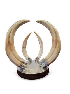 1970s Warthog Tusk Trophy Mounted on Wood and Silver Base