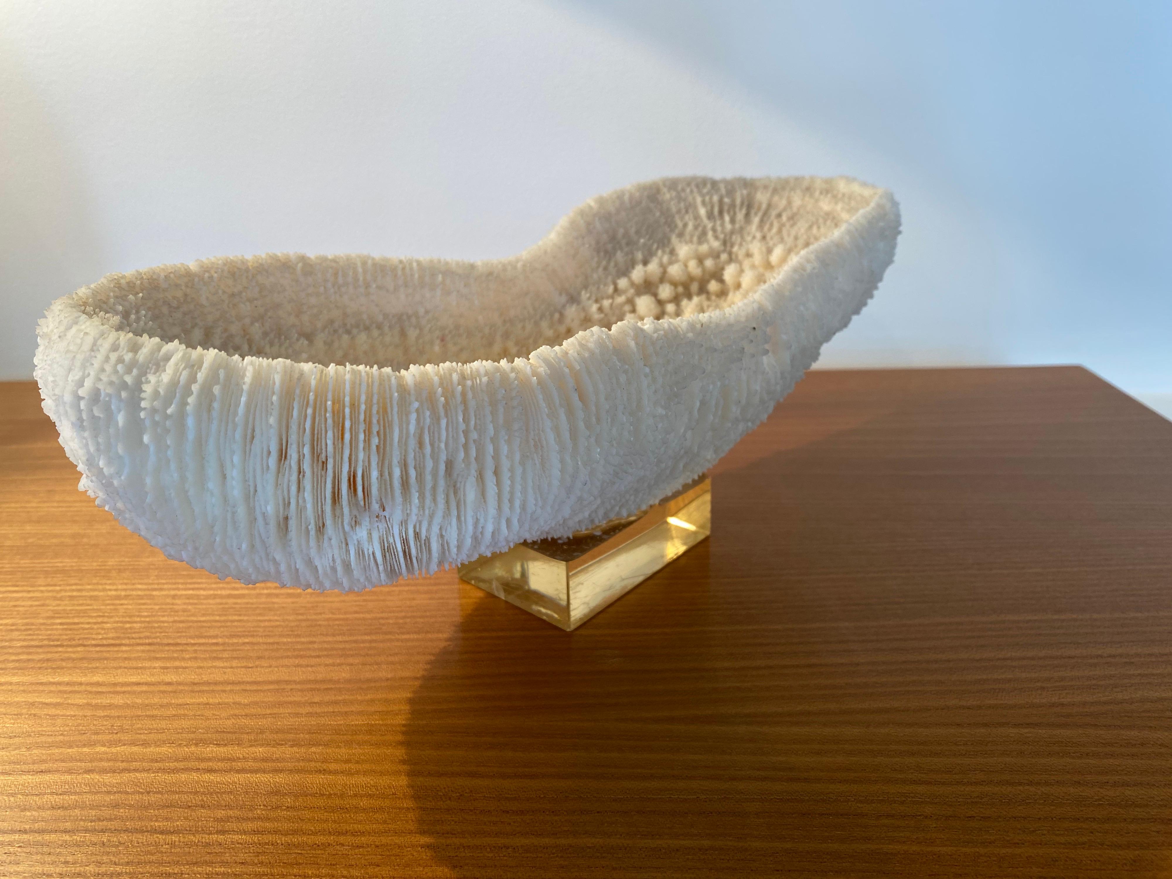 1970s white coral mounted on resin.