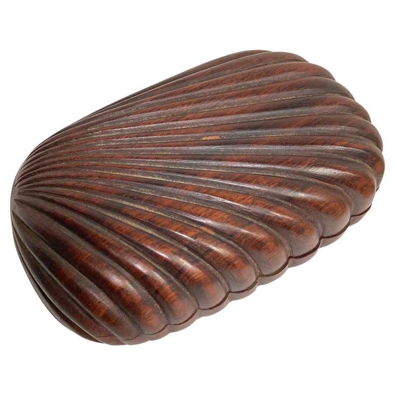 Shell Box by Alexandre Noll For Sale at 1stDibs