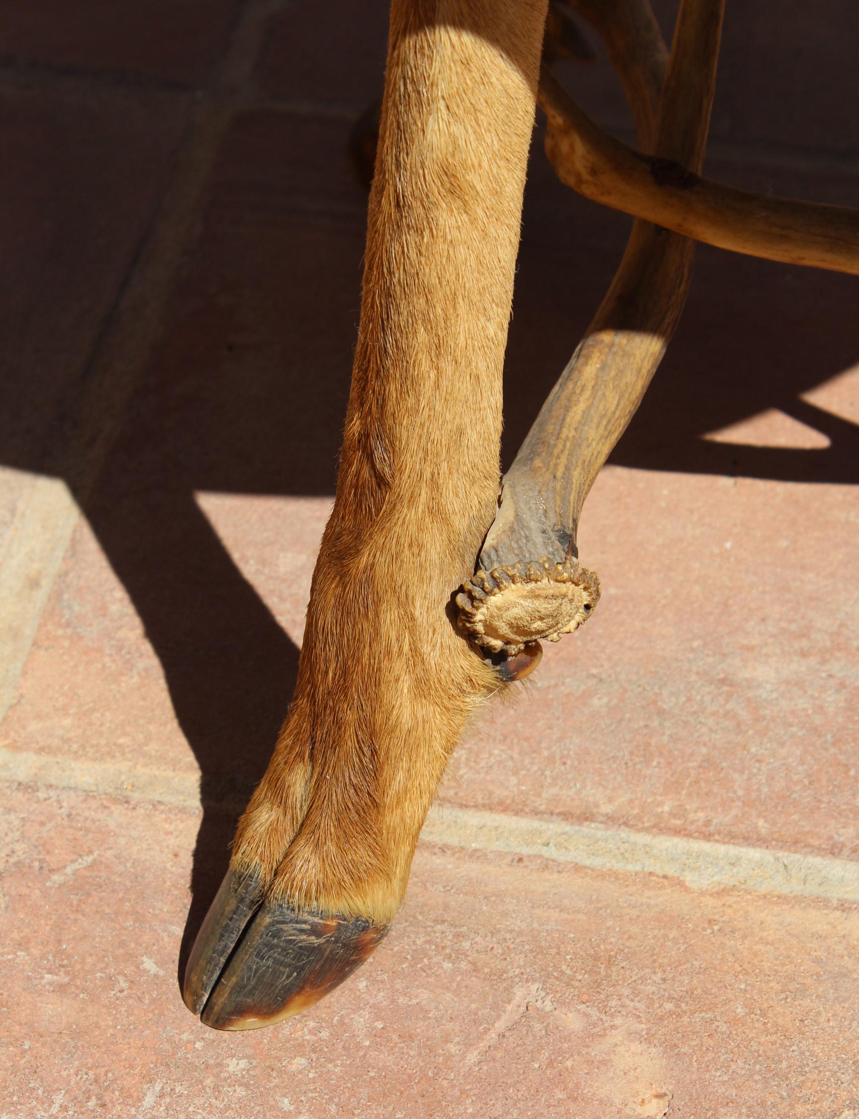 Spanish 1970s Wooden Outdoors Table with Deer Hoof Legs