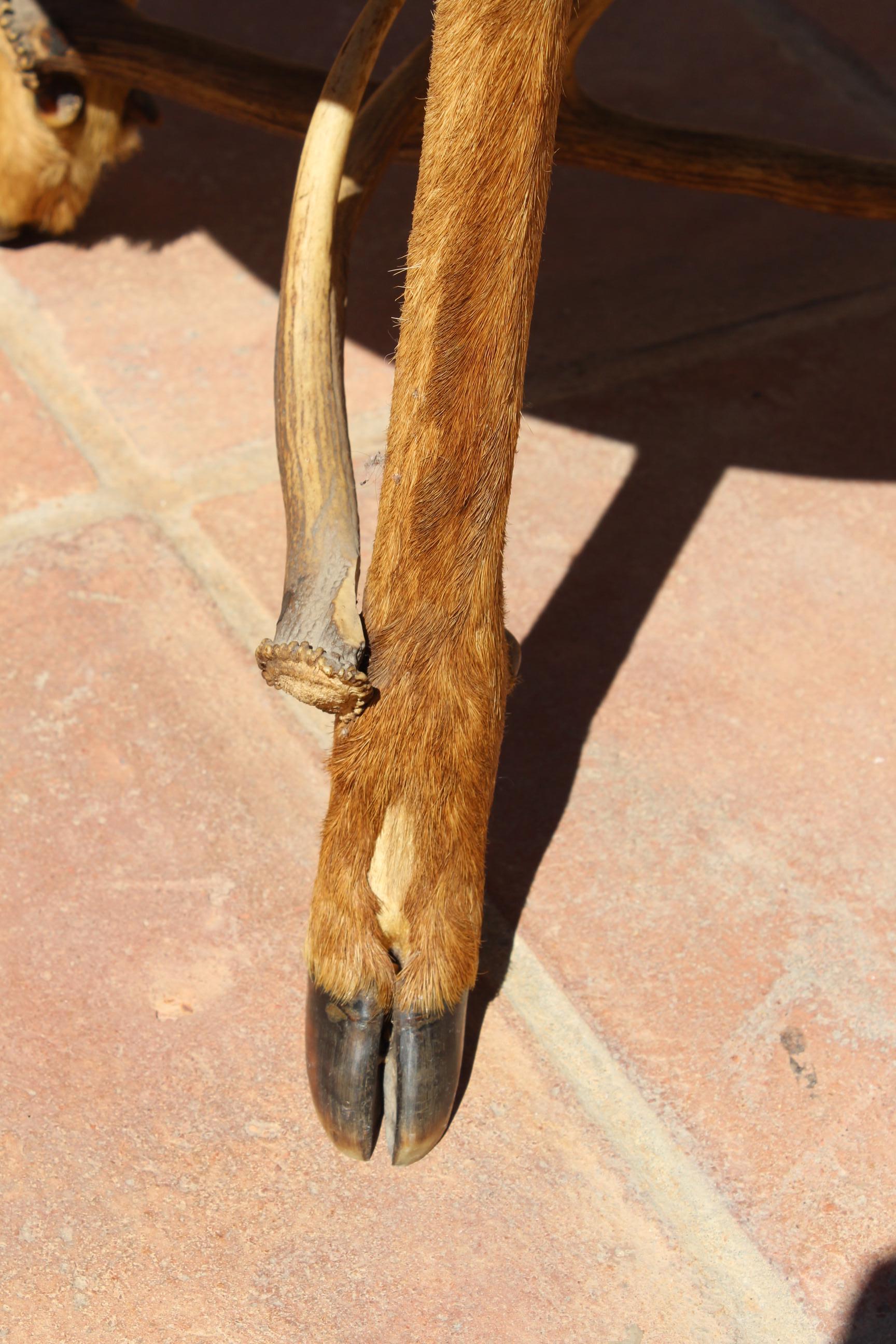 1970s Wooden Outdoors Table with Deer Hoof Legs In Good Condition In Marbella, ES
