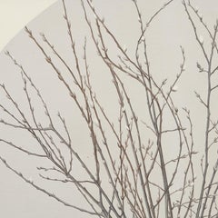 1971 Contemporary Photorealistic Oil on Canvas - Pussy Willow Branches in Bucket